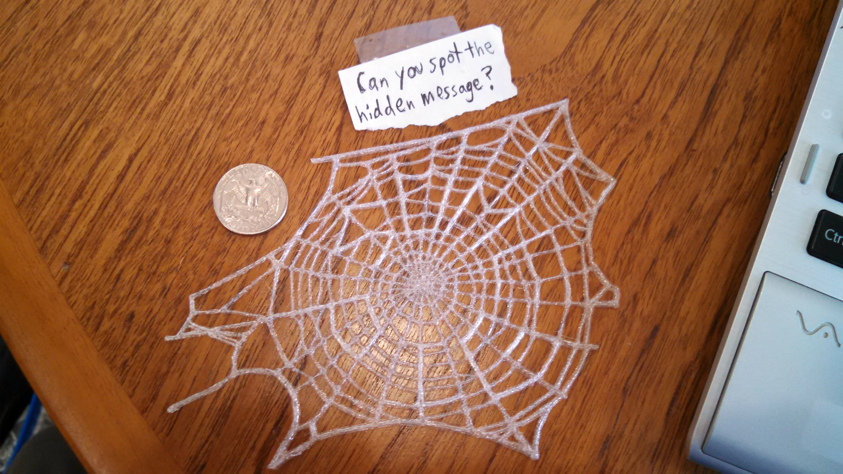 Charlotte's Web Decoration