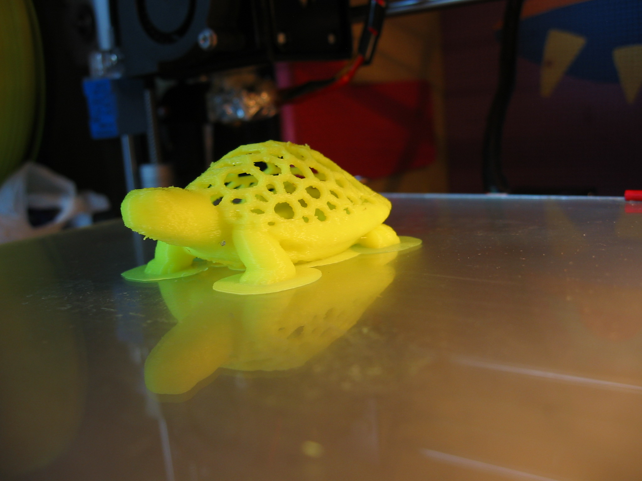 Tortue voronoi