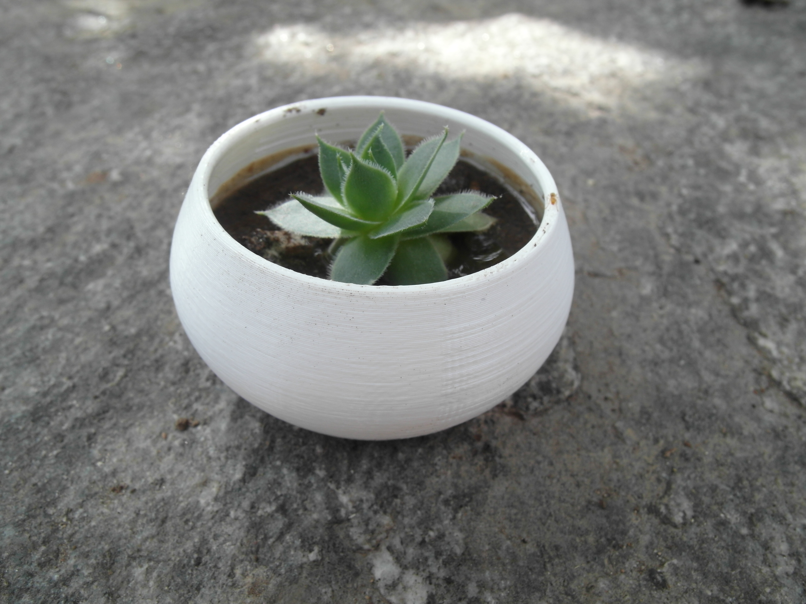 Parametric succulent planter