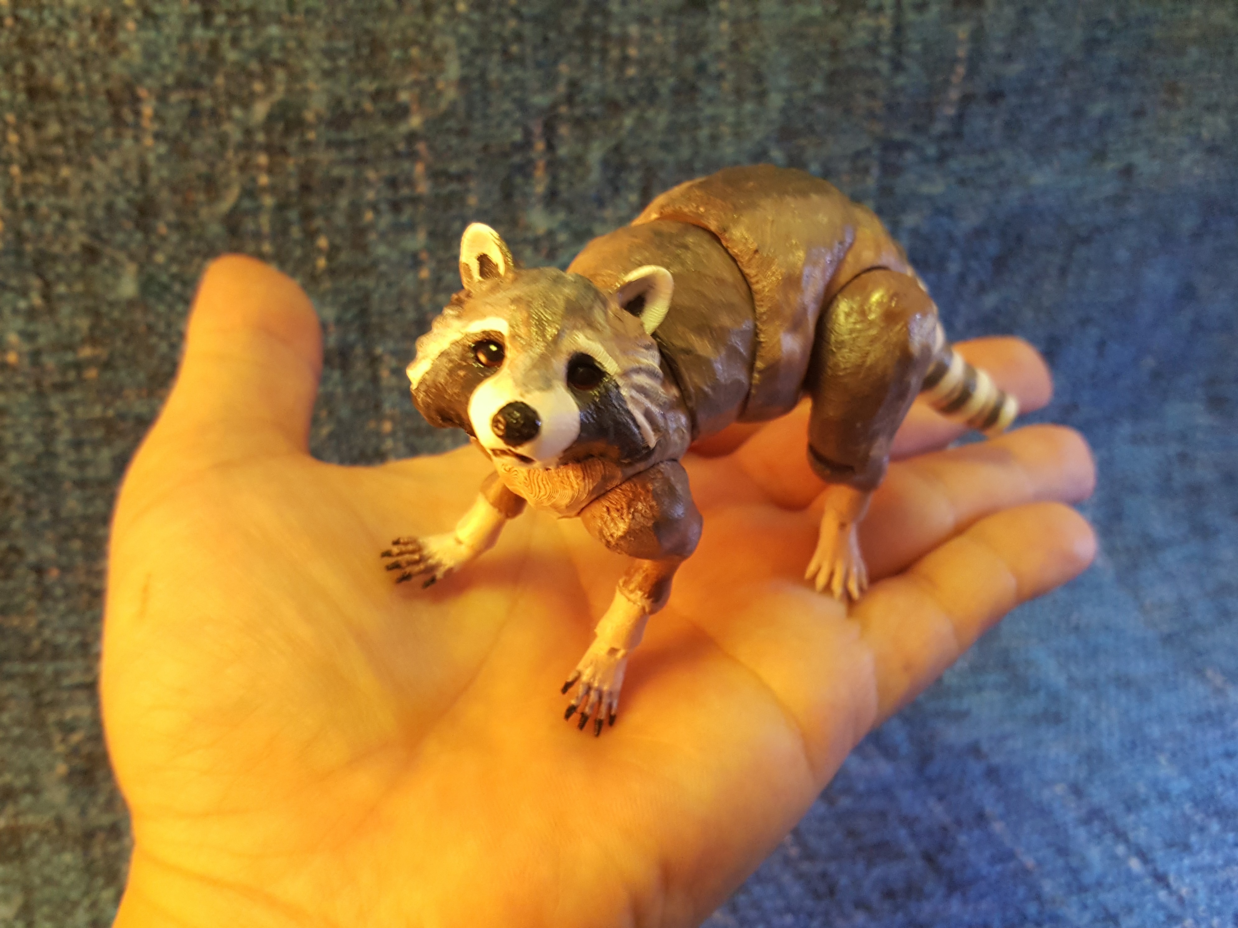 Raccoon (BJD) - Renewal