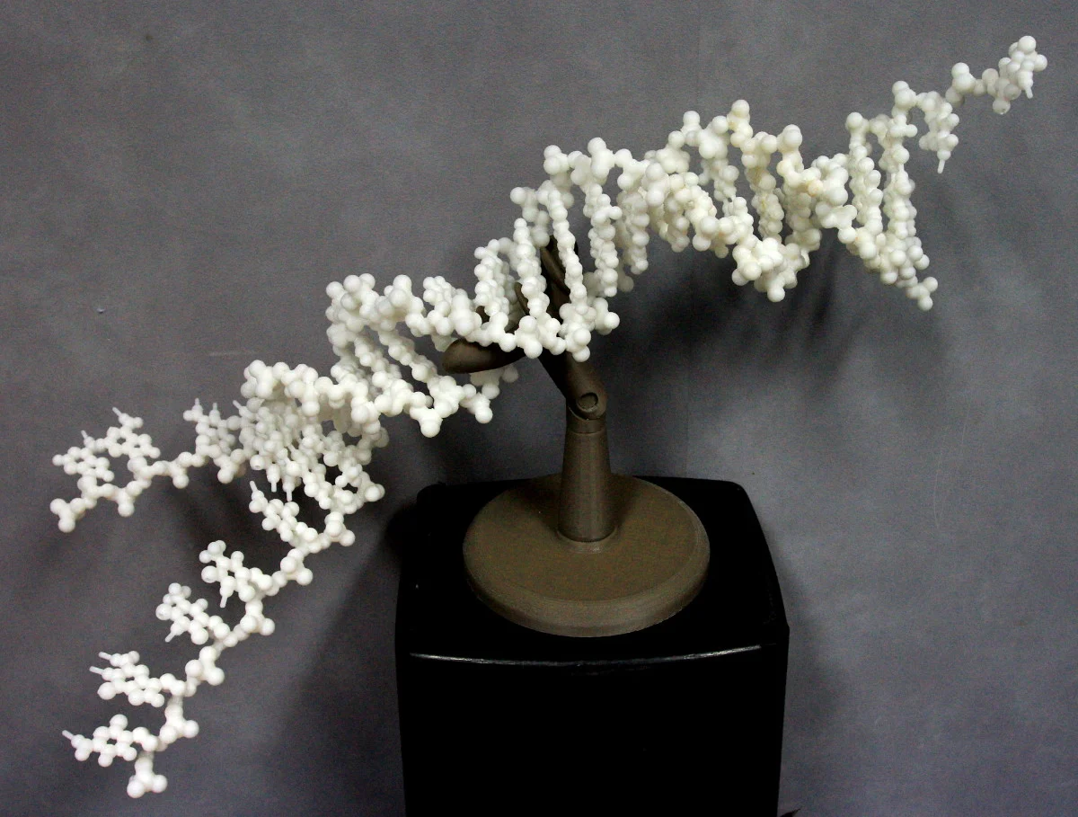 Folding DNA model kit.