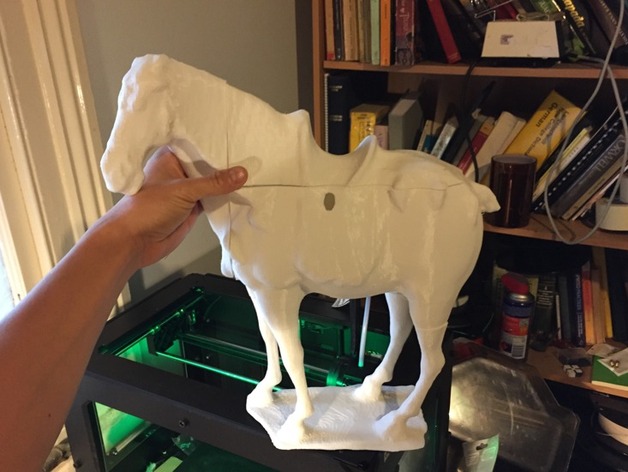 Horse Broken into 4 parts