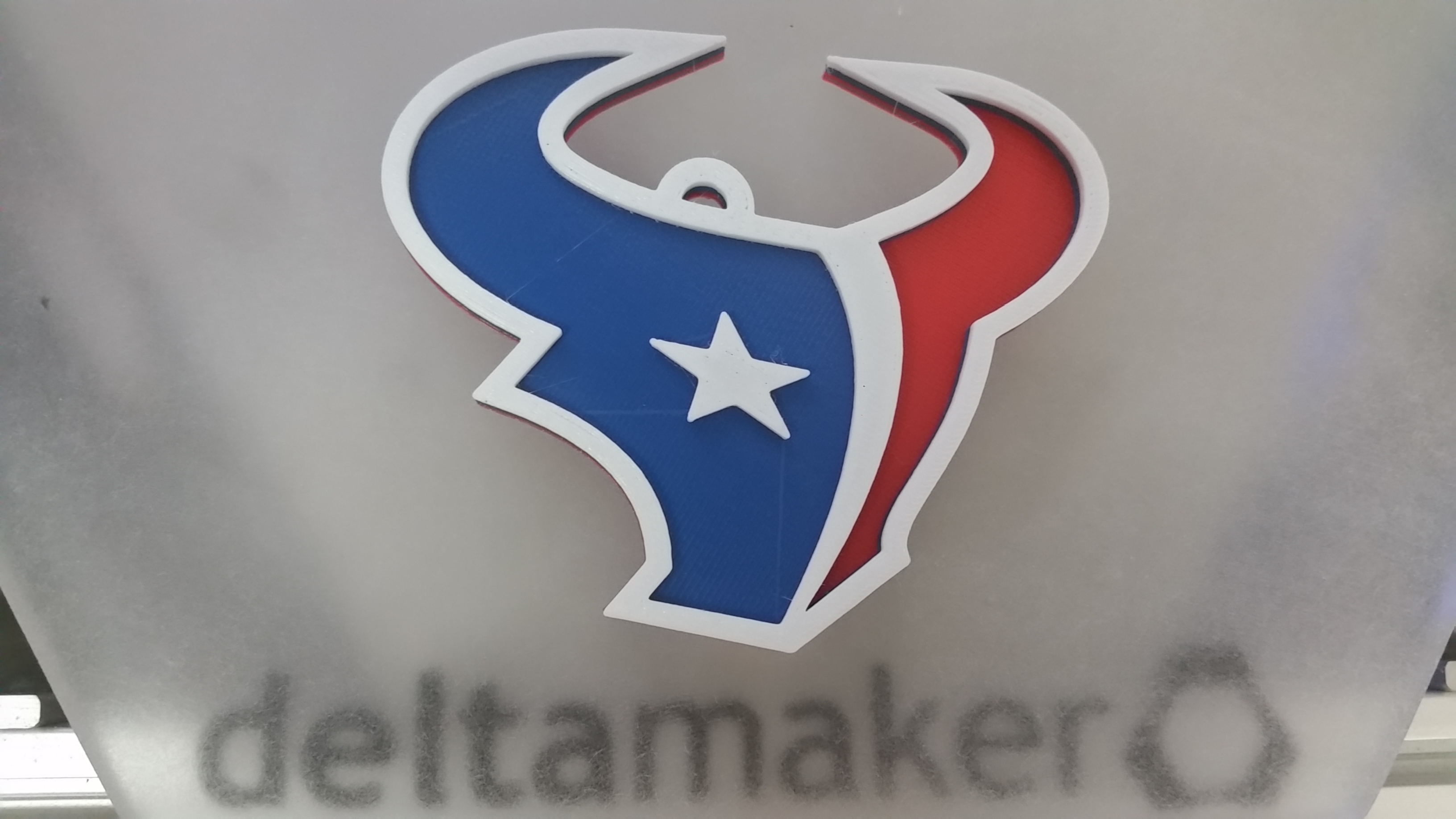 Houston Texans Wall Hanger