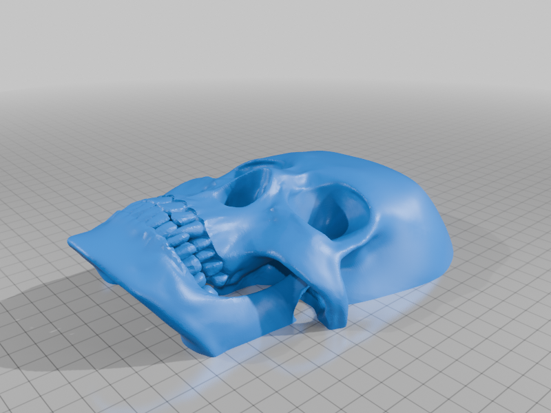 Halloween Decoration: Vampire Skull Relief