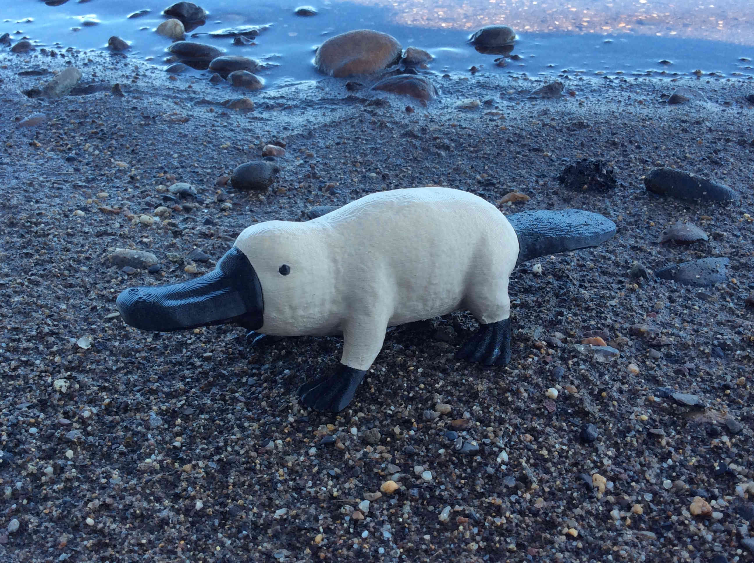 Platypus
