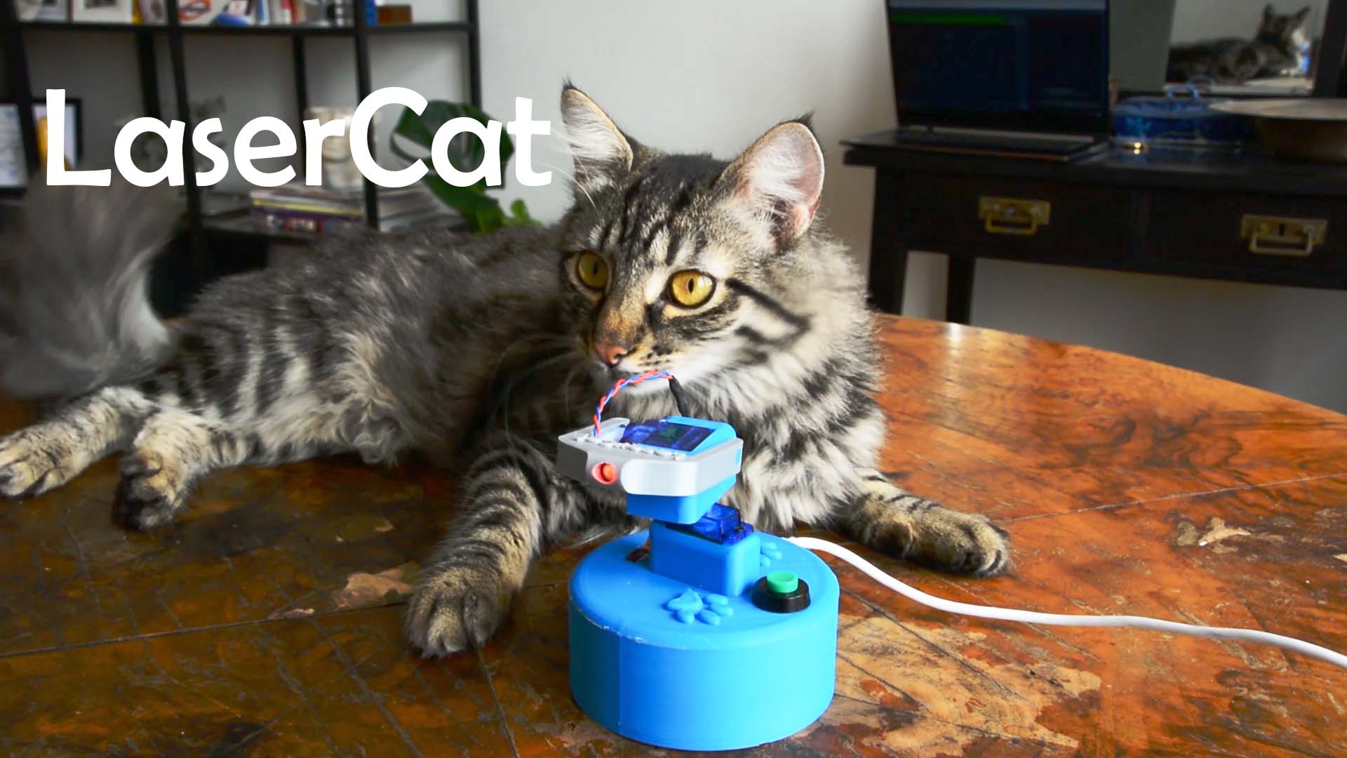 LaserCat