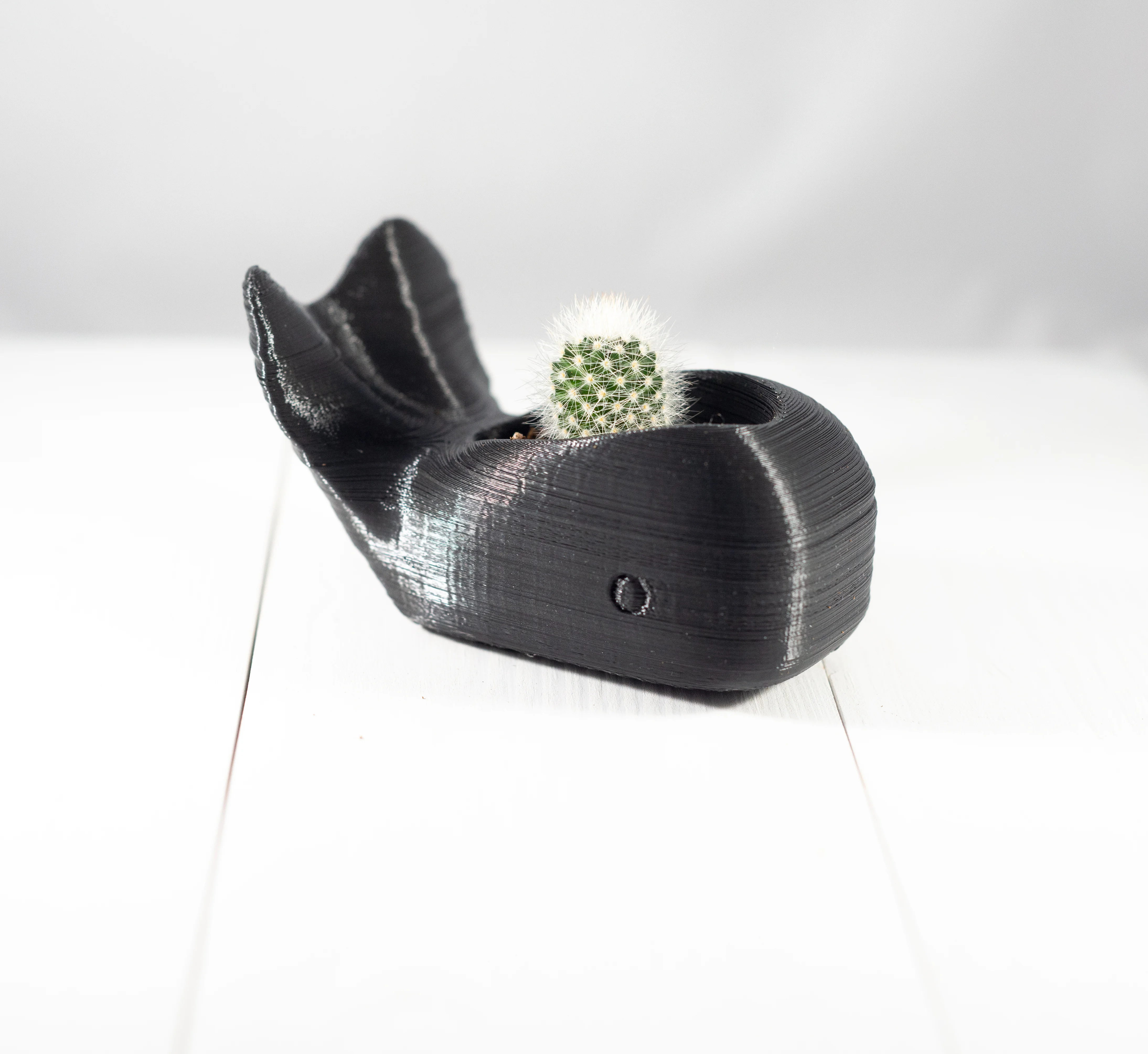 Whale Planter