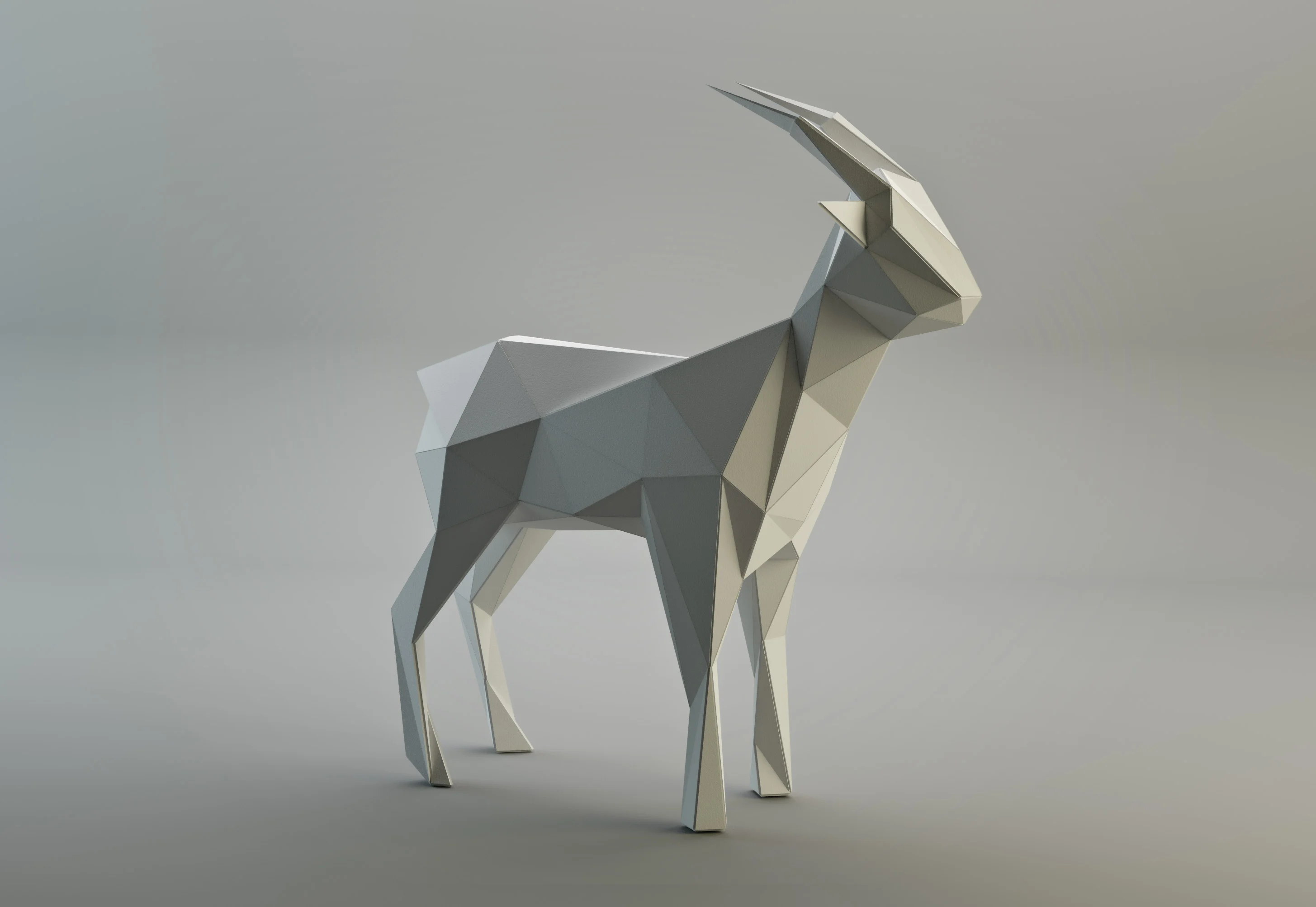 Triangulated goat
