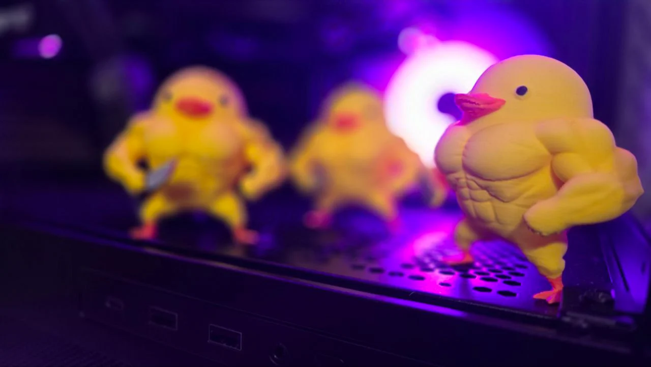 bodybuilder duck