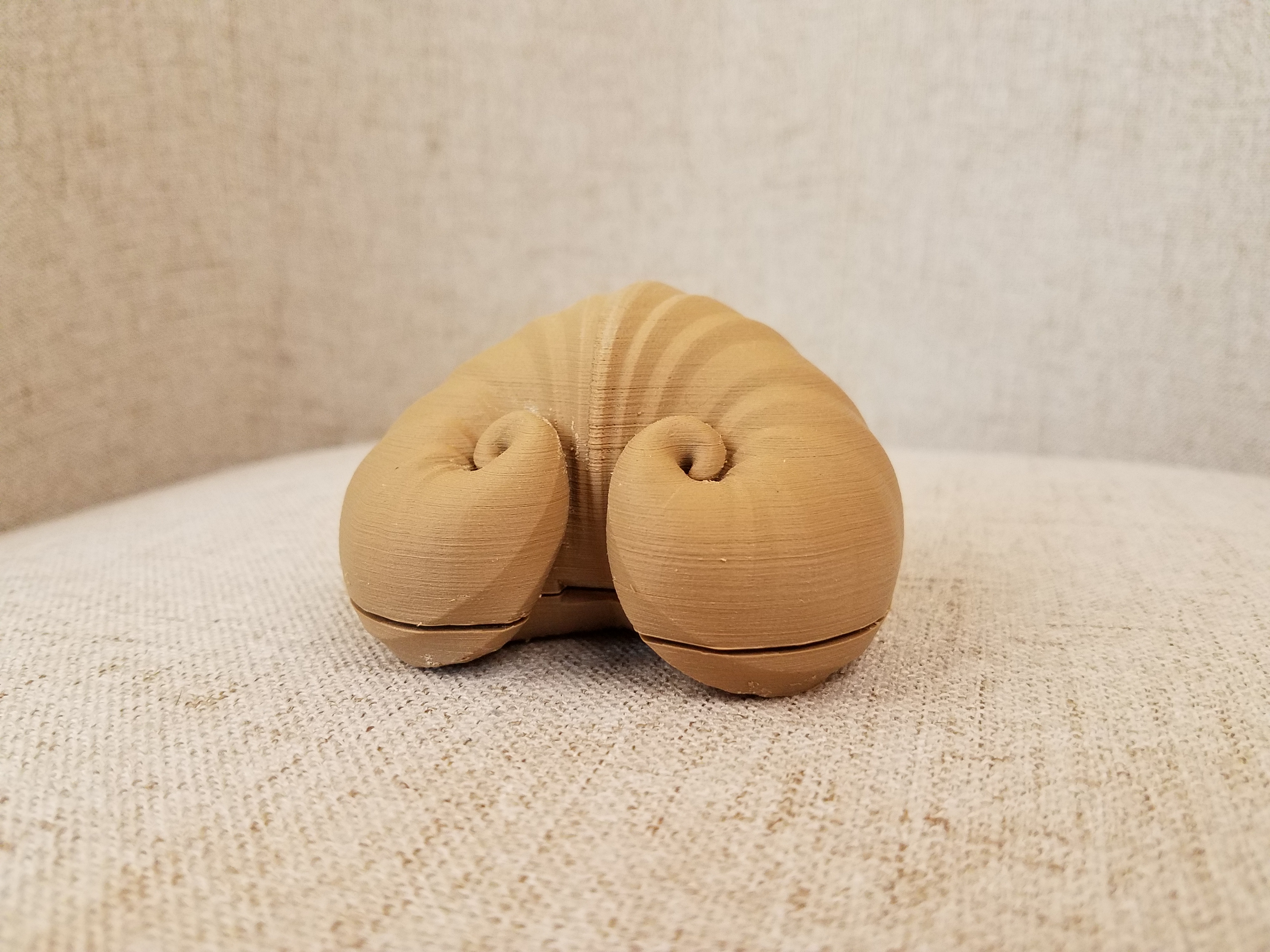 Spiral Heart Shell (Meiocardia Vulgaris) SD & Micro SD Card Holder