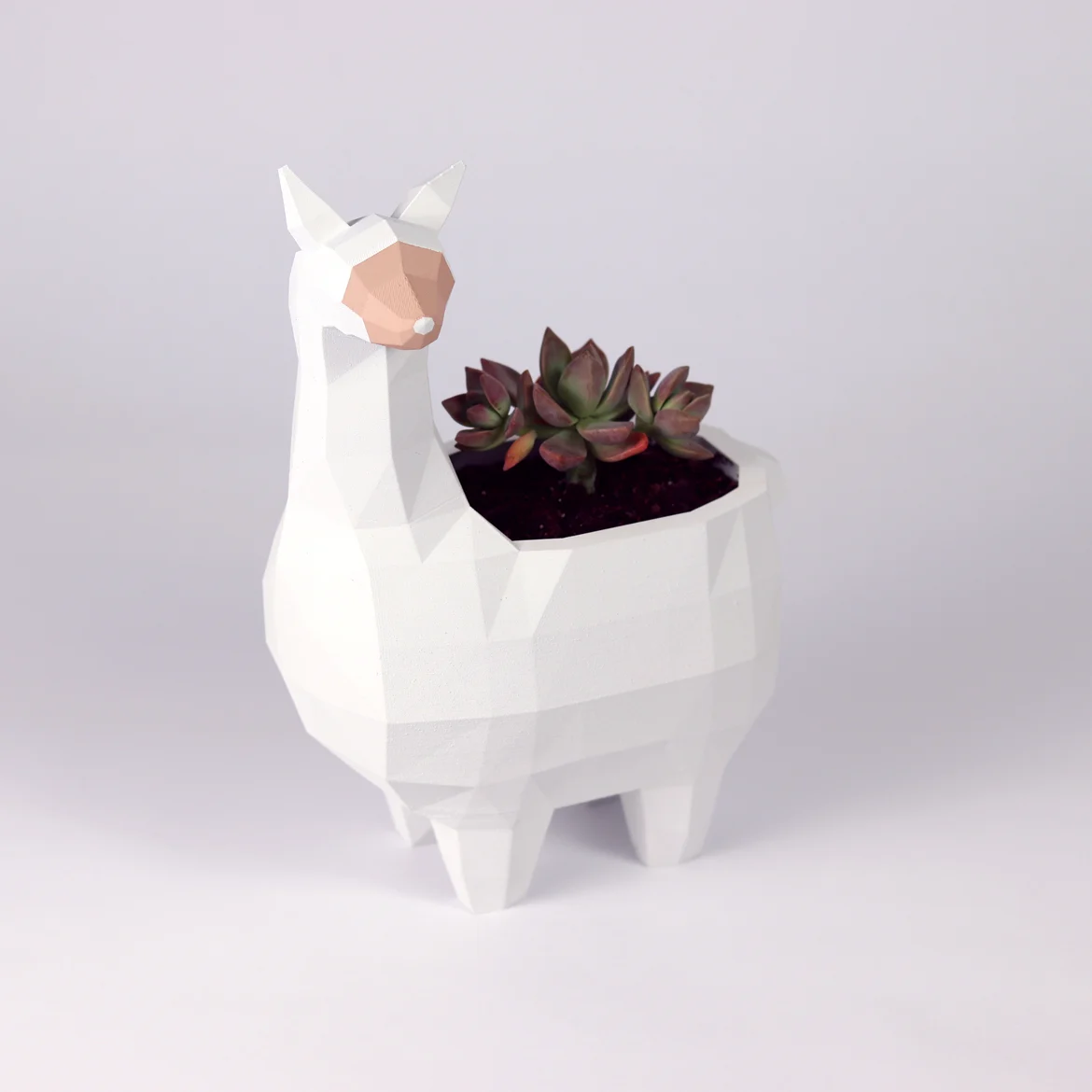 Alpaca Planter