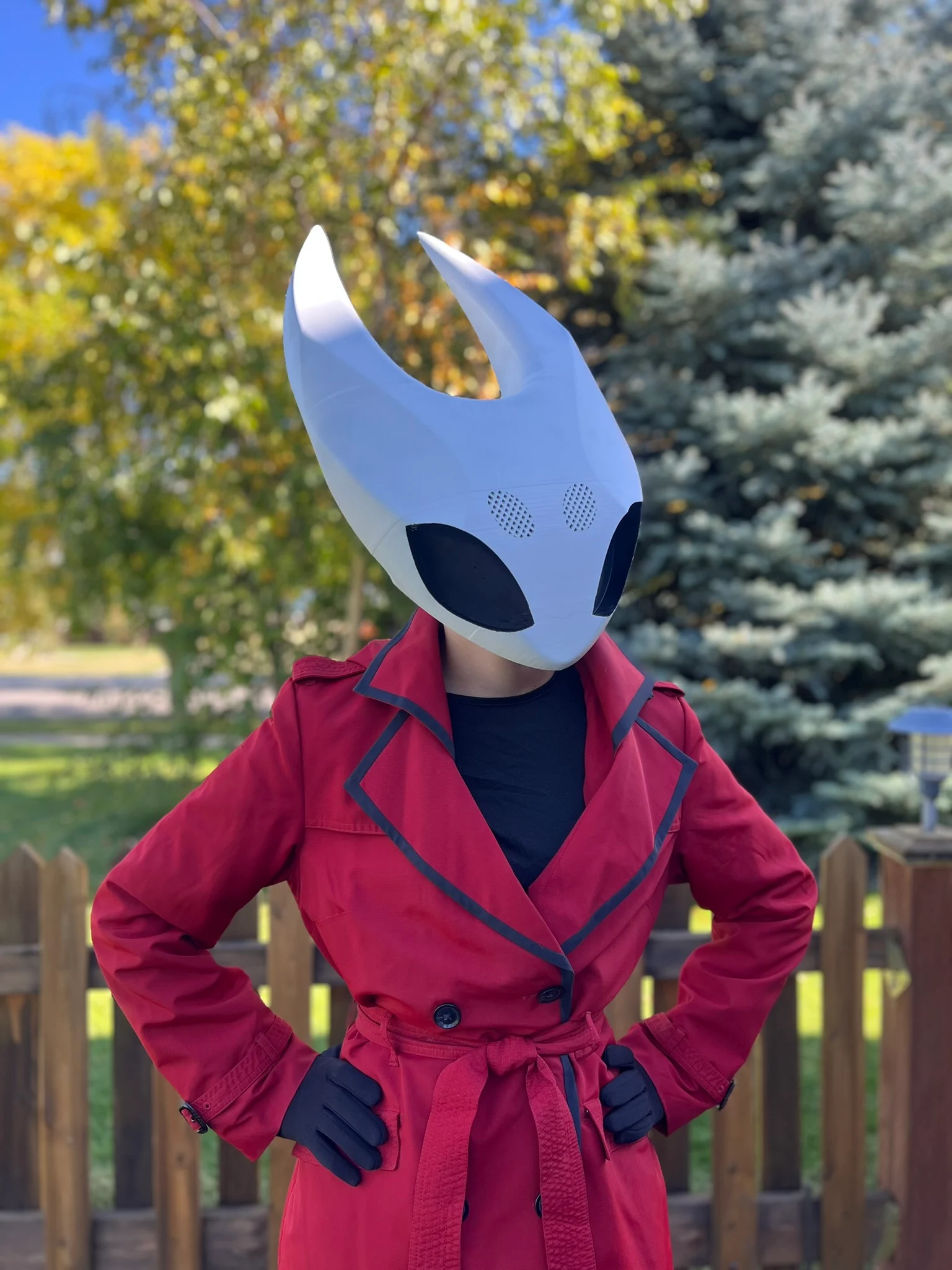 Hornet mask from Hollow Knight SilkSong