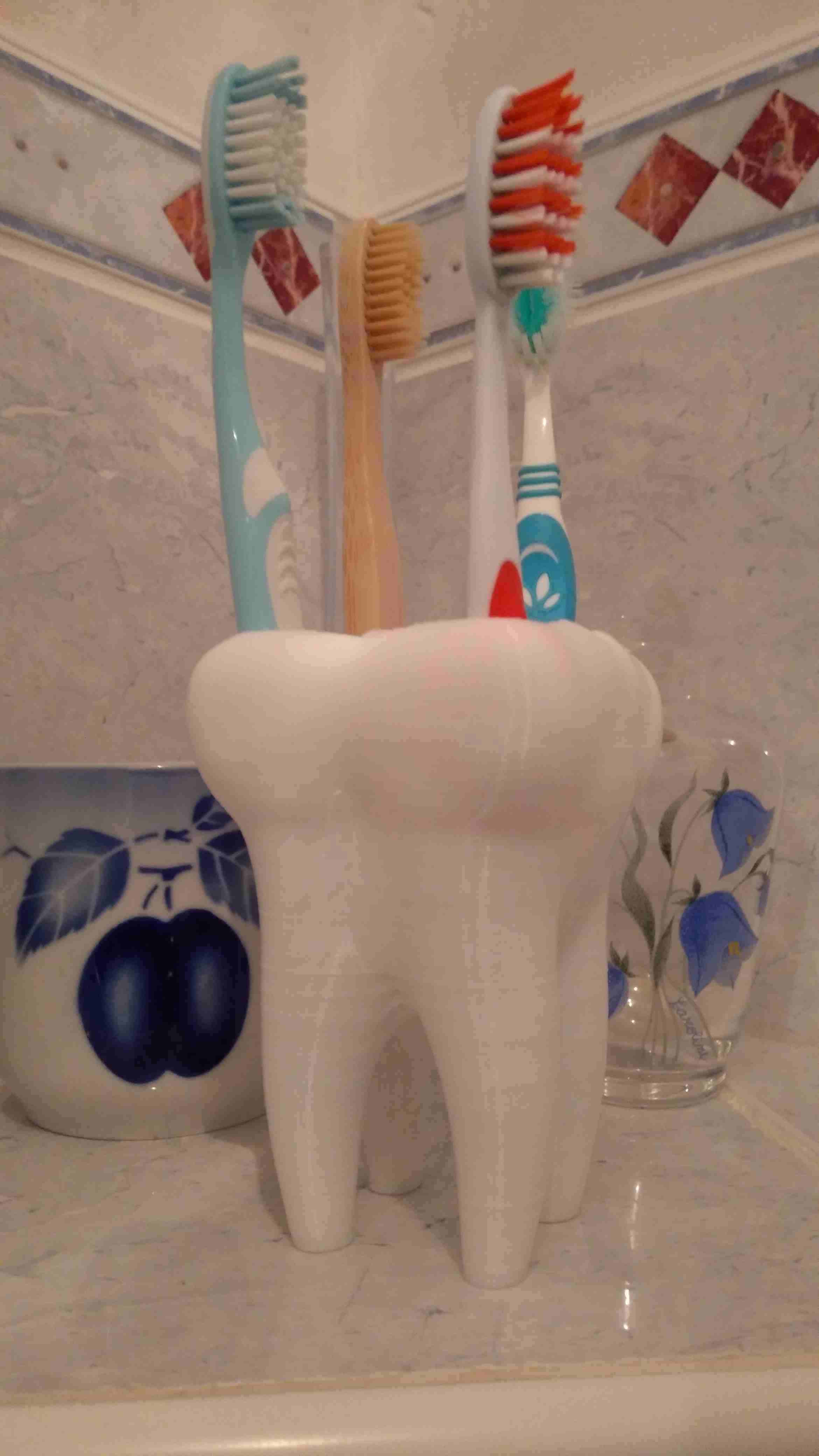 Tooth brush-holder