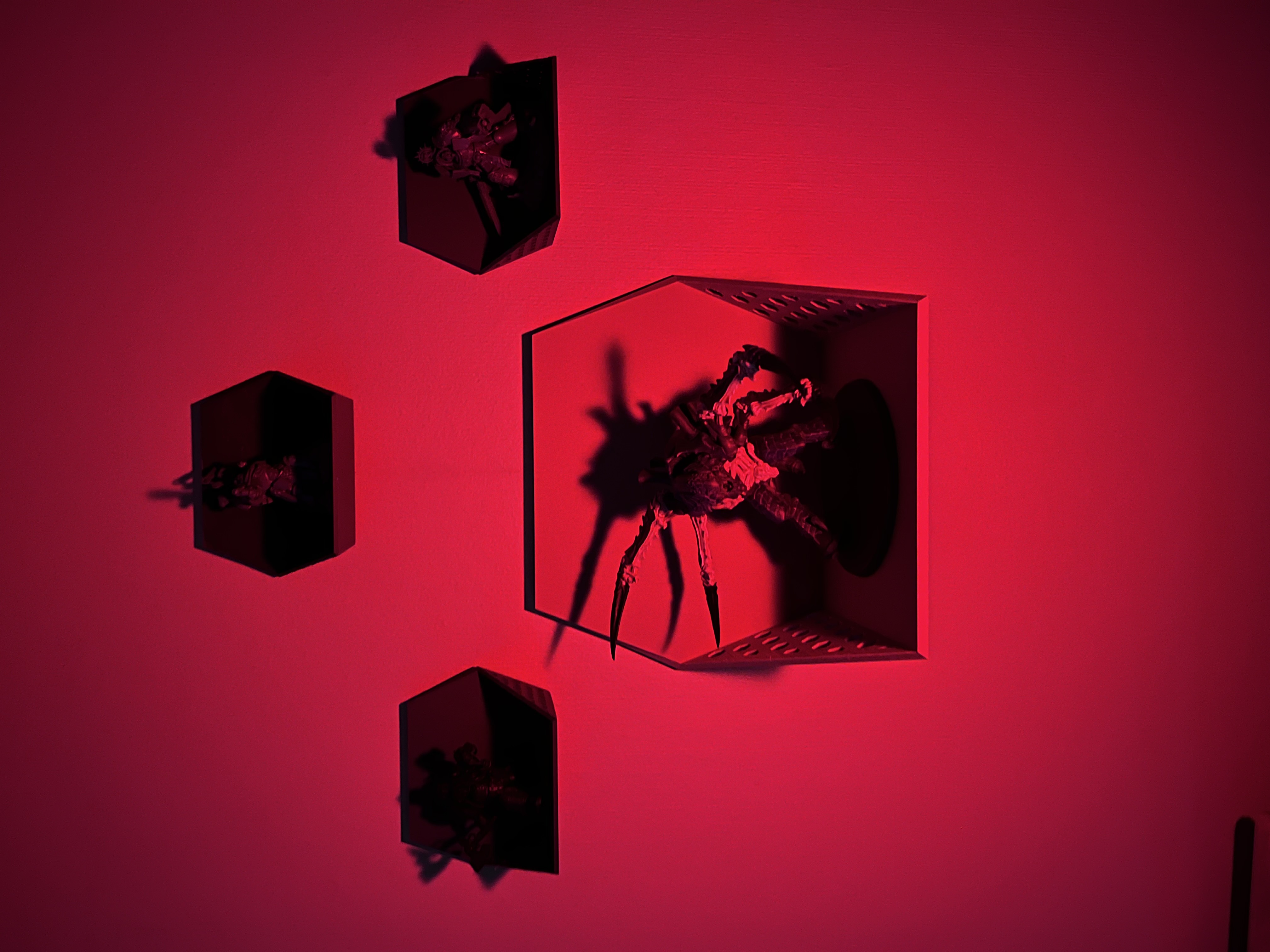 Modular Hexagonal shelf for models / items