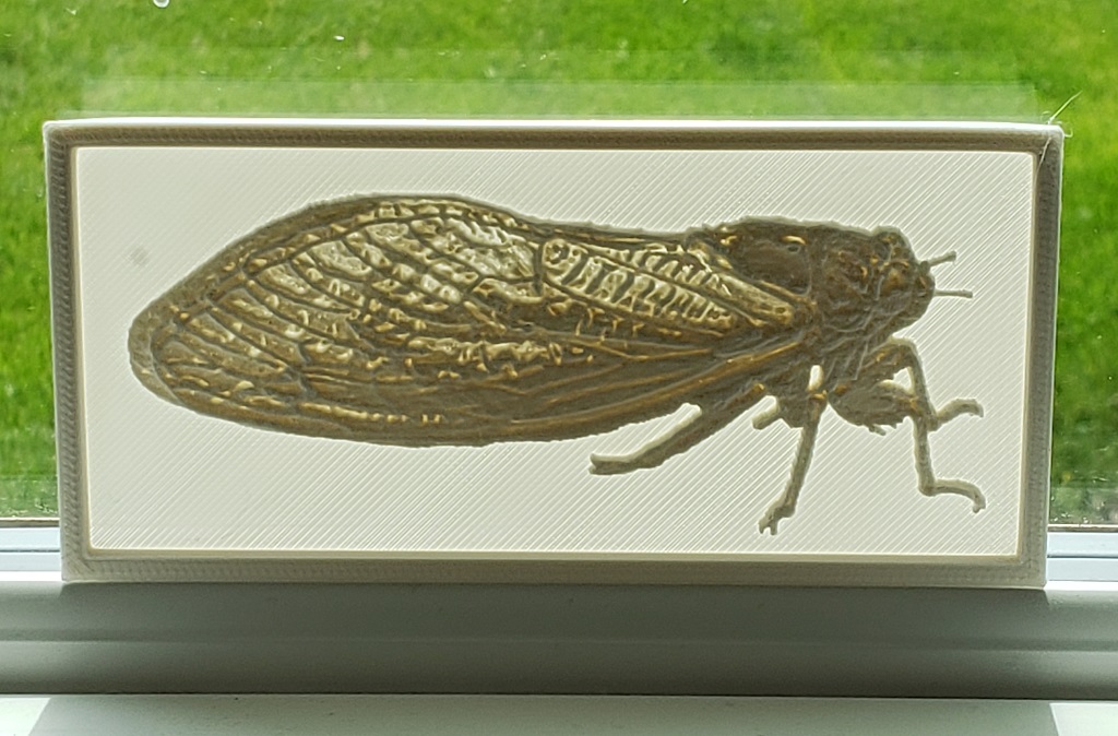 Cicada - Lithopane - 0.1 mm Layer Resolution