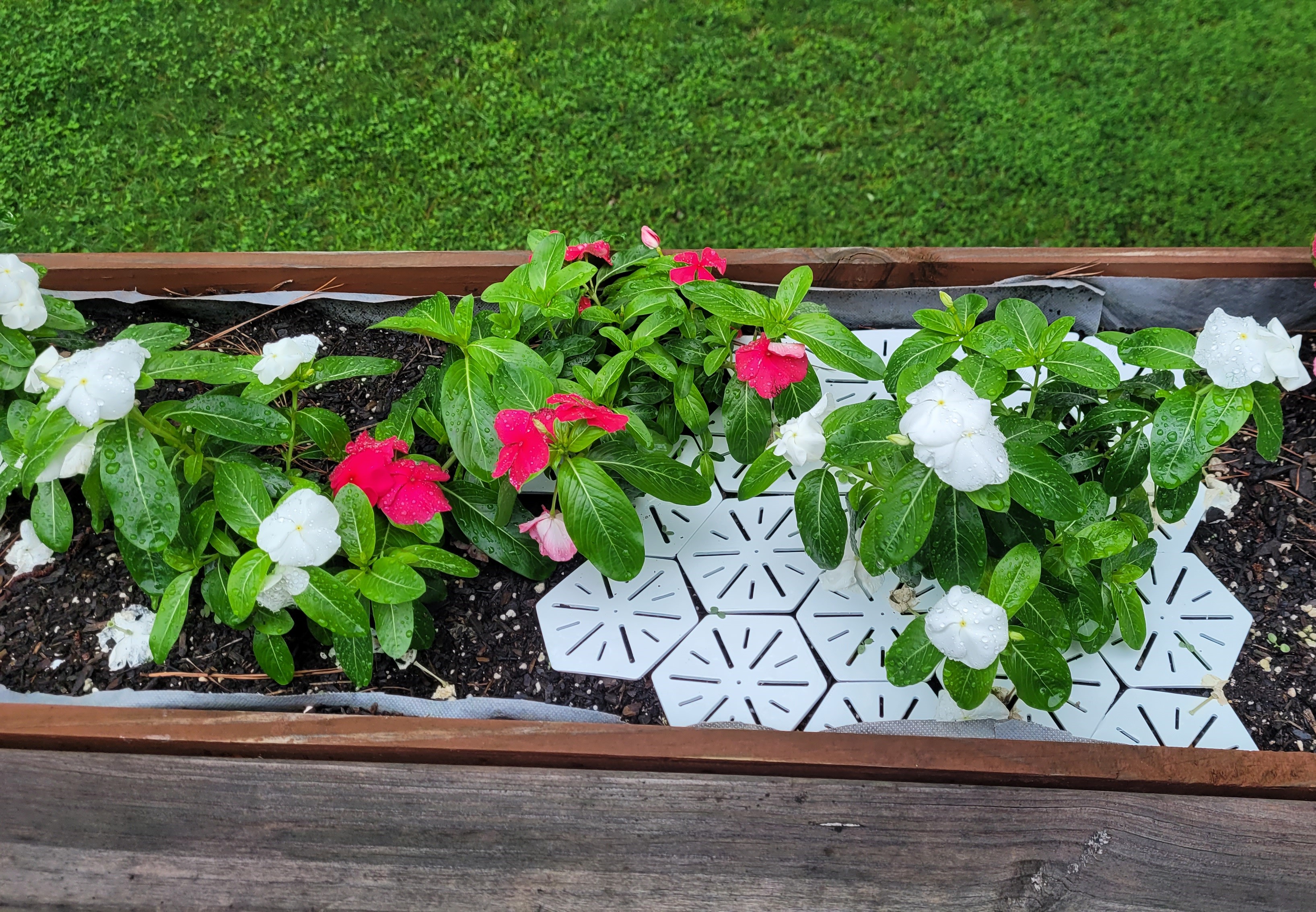 Planter Box Moisture Control Hexes