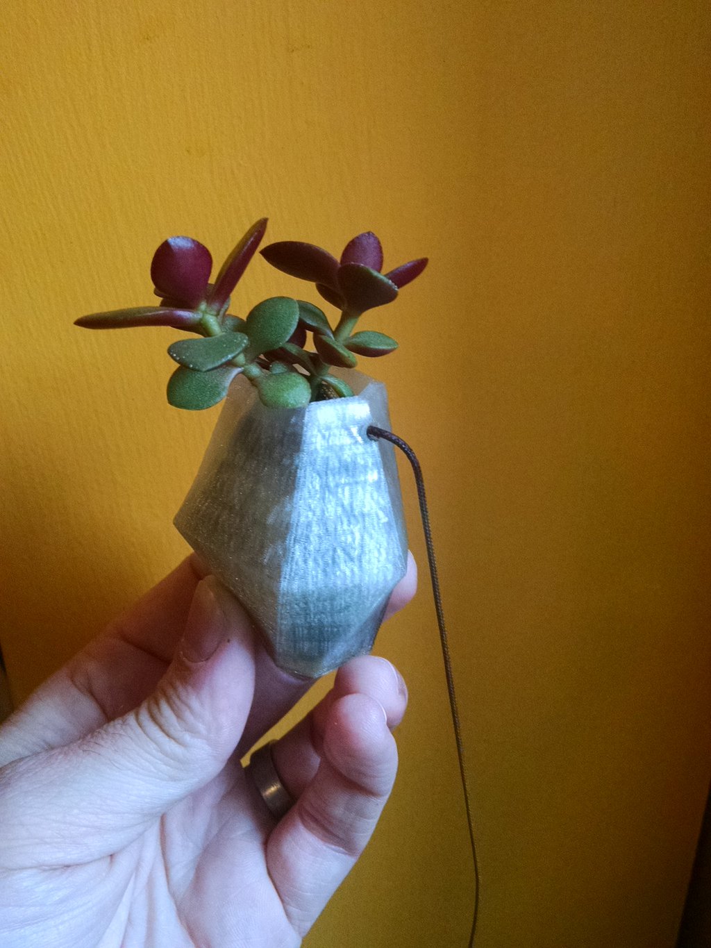 Necklace Planter