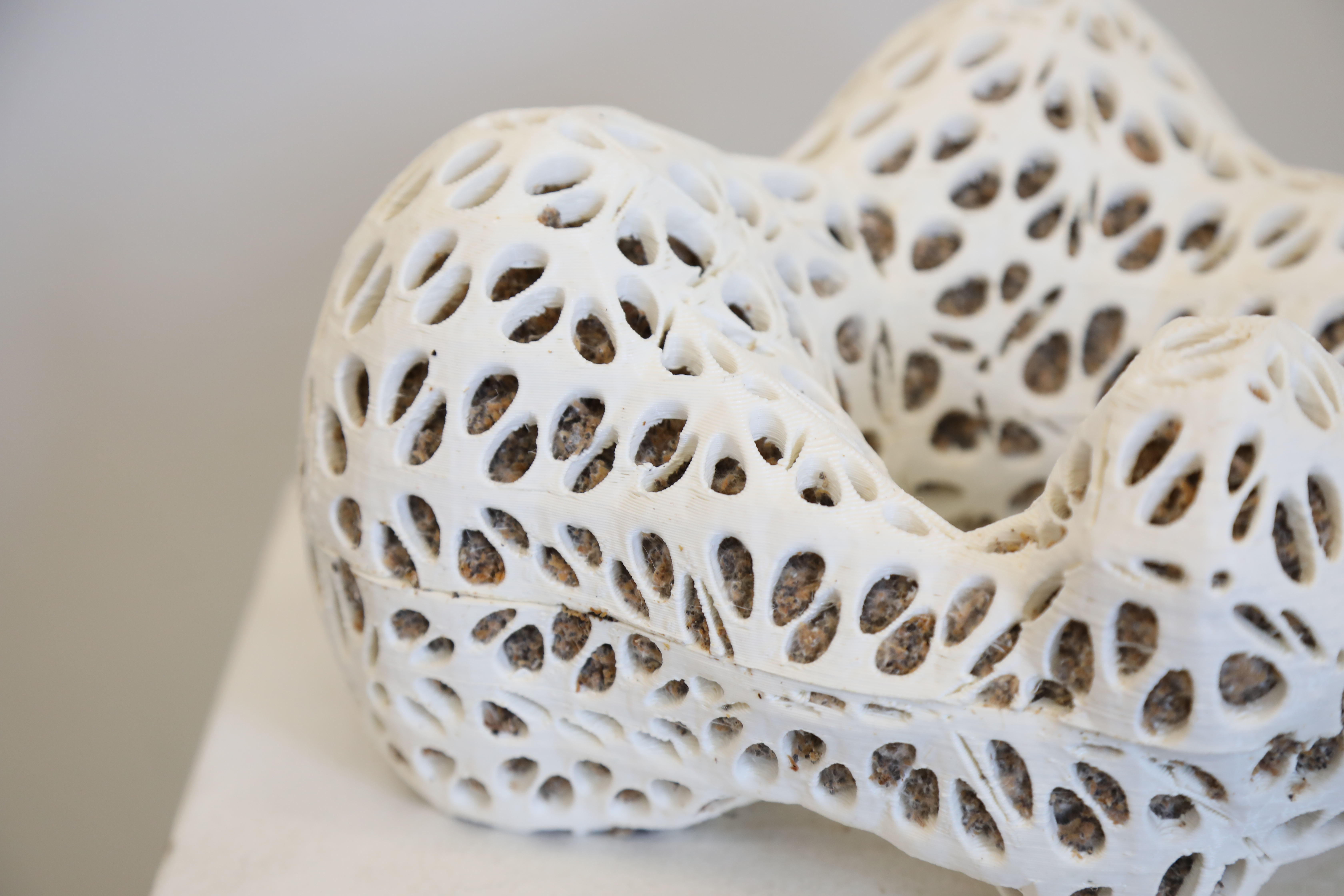 Parametric sculpture