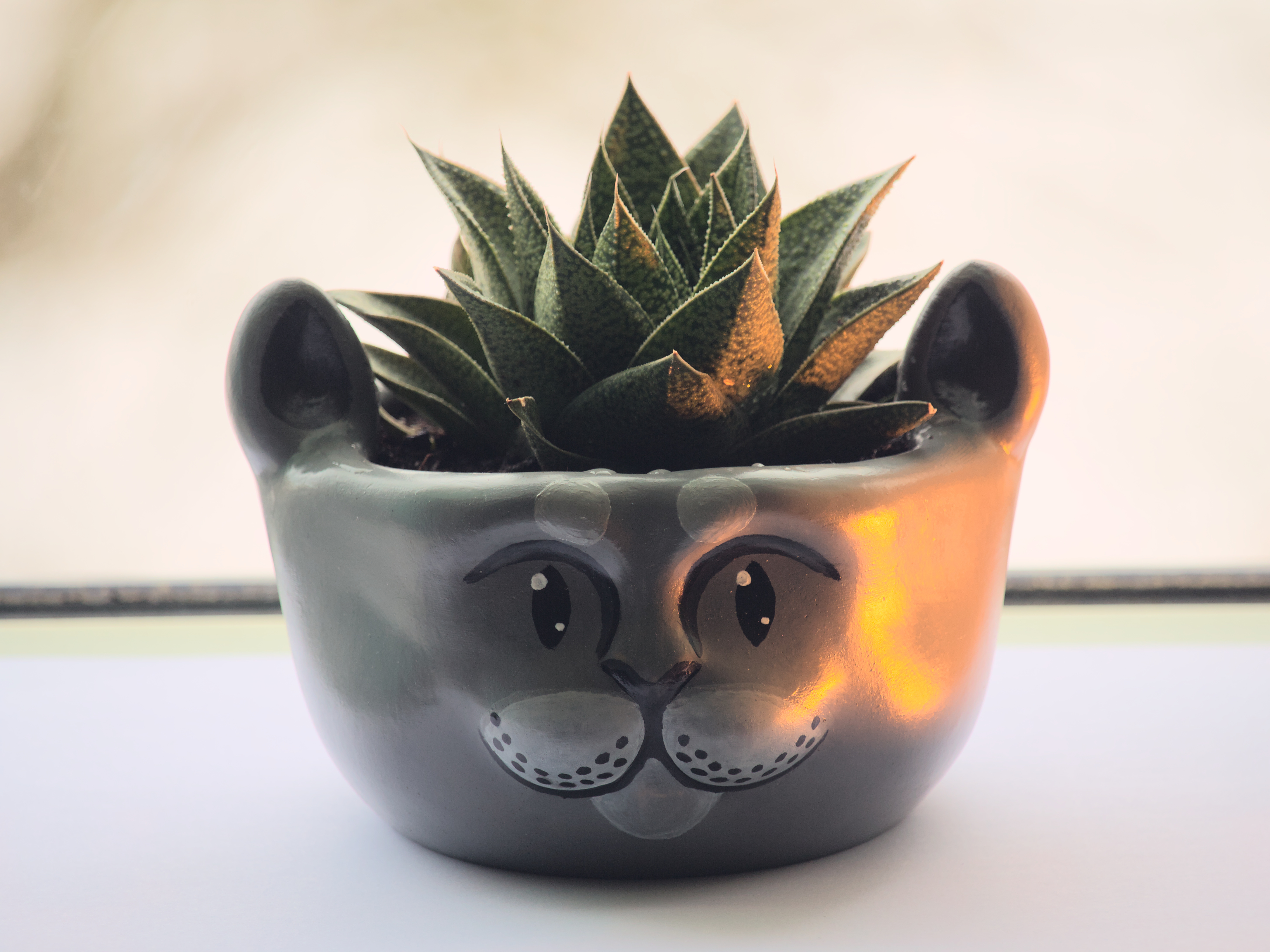 Cat-faced flower pot