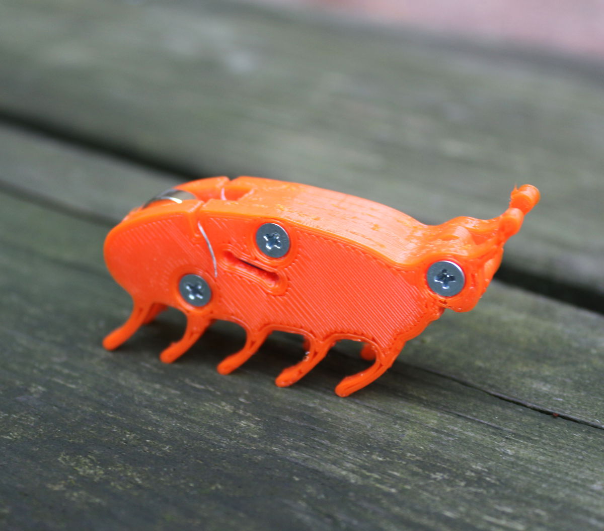 ZYYX Robot