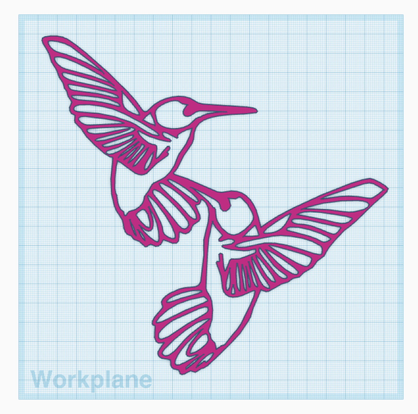 Humming Birds