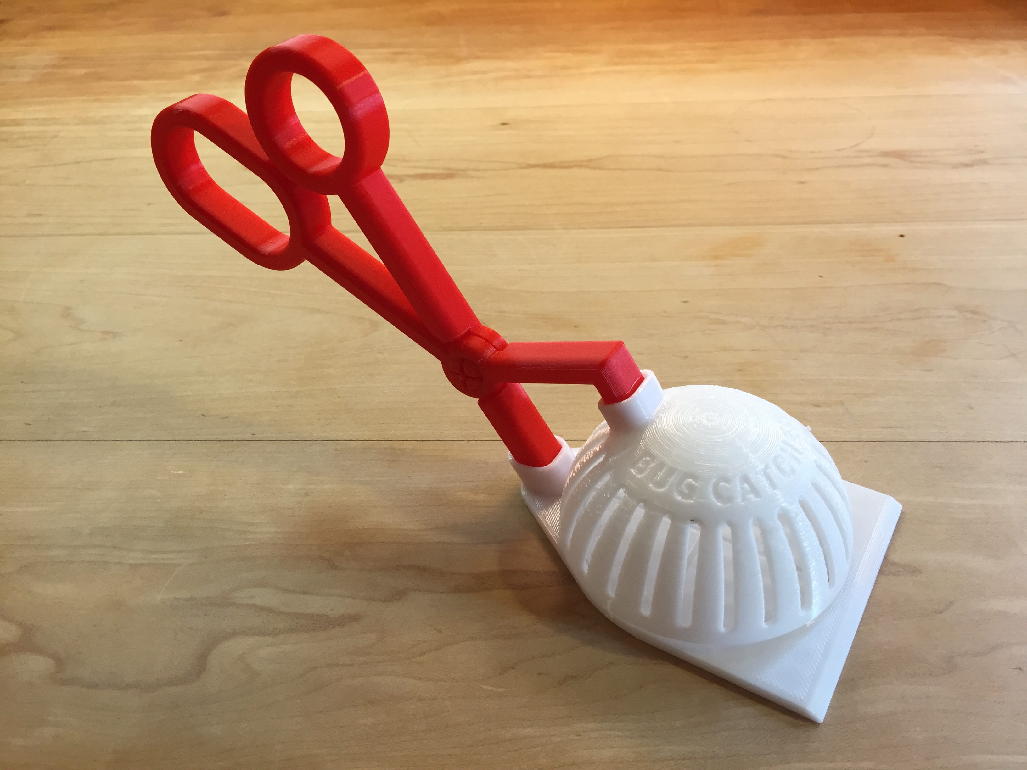 The Bug Catcher 2000