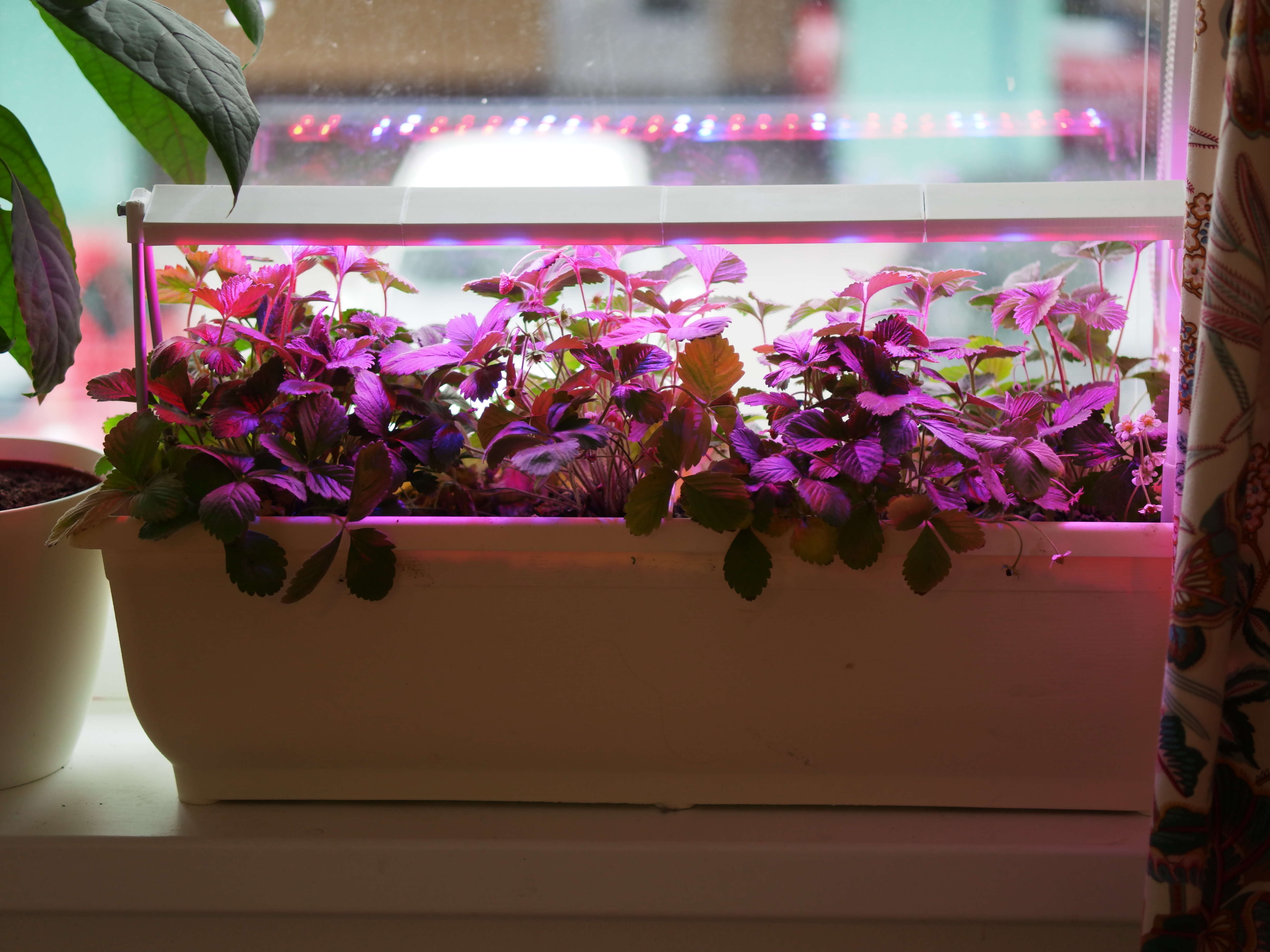 12mm led stripes (configurable length) lamp