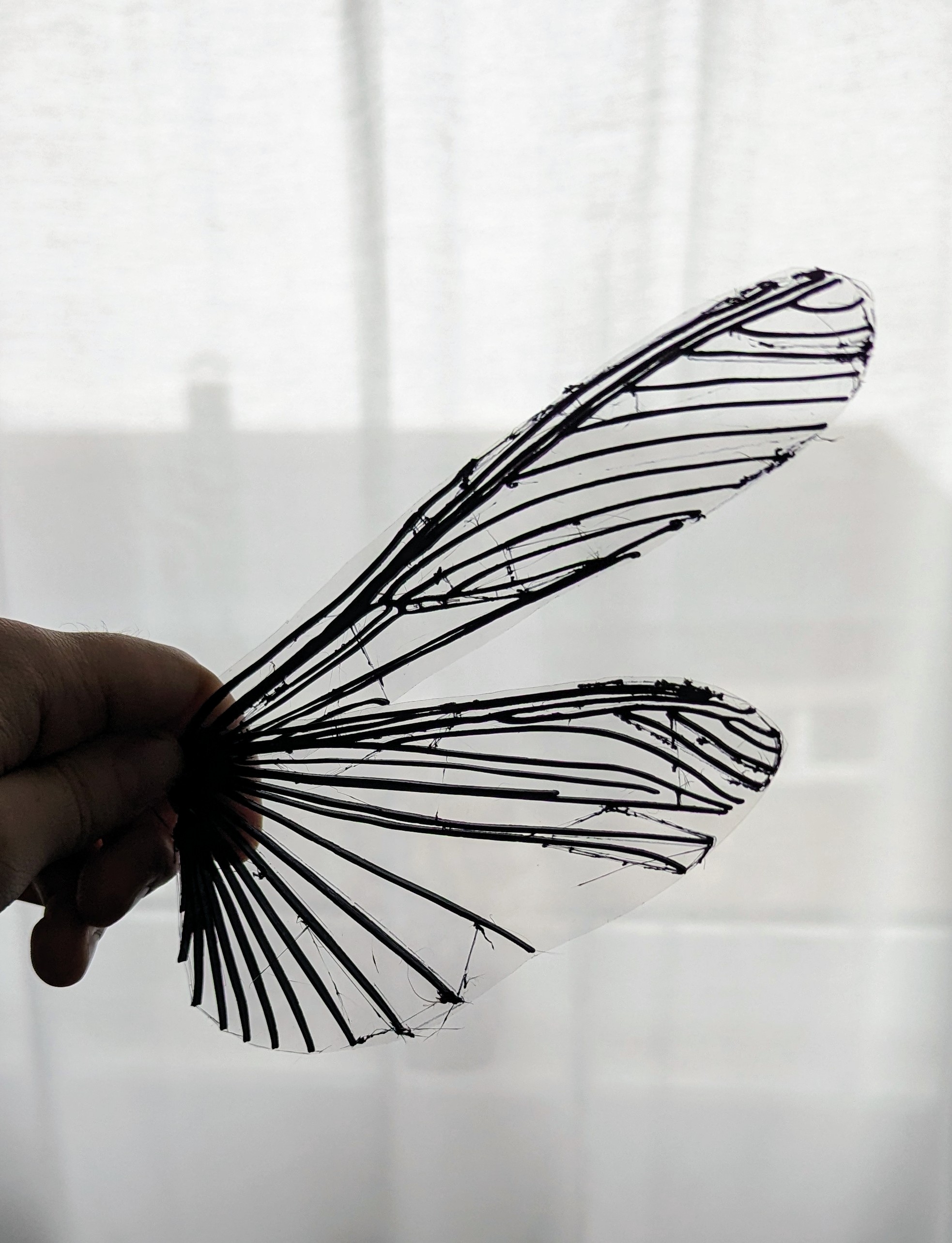 Bionic Locust Wing for MAVs