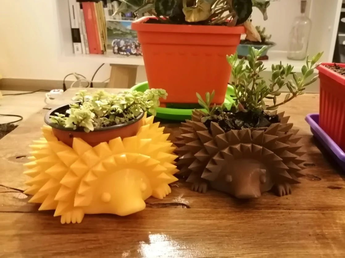 Hedgehog Planter with feet
