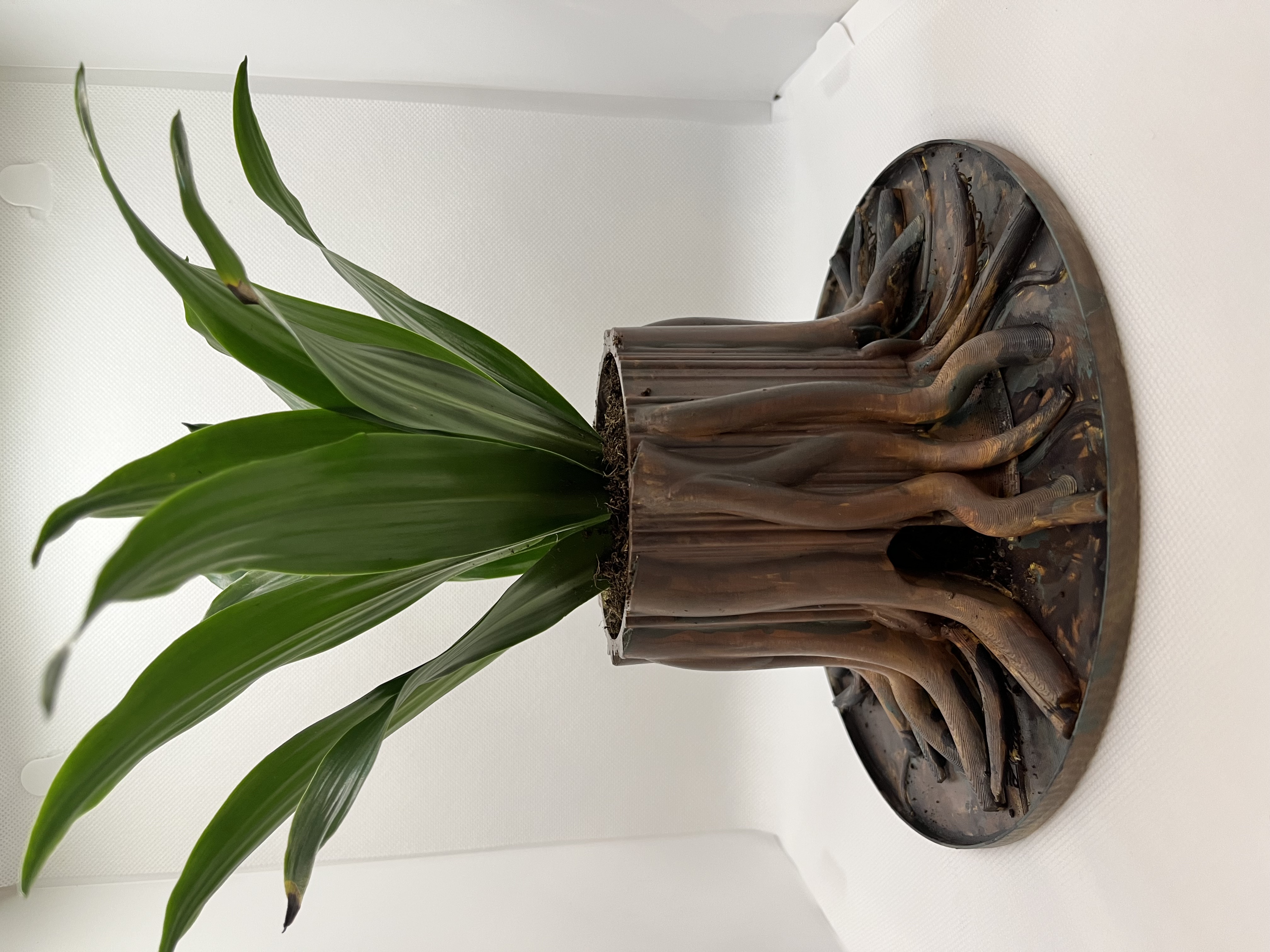 Tree Stump Plantpot