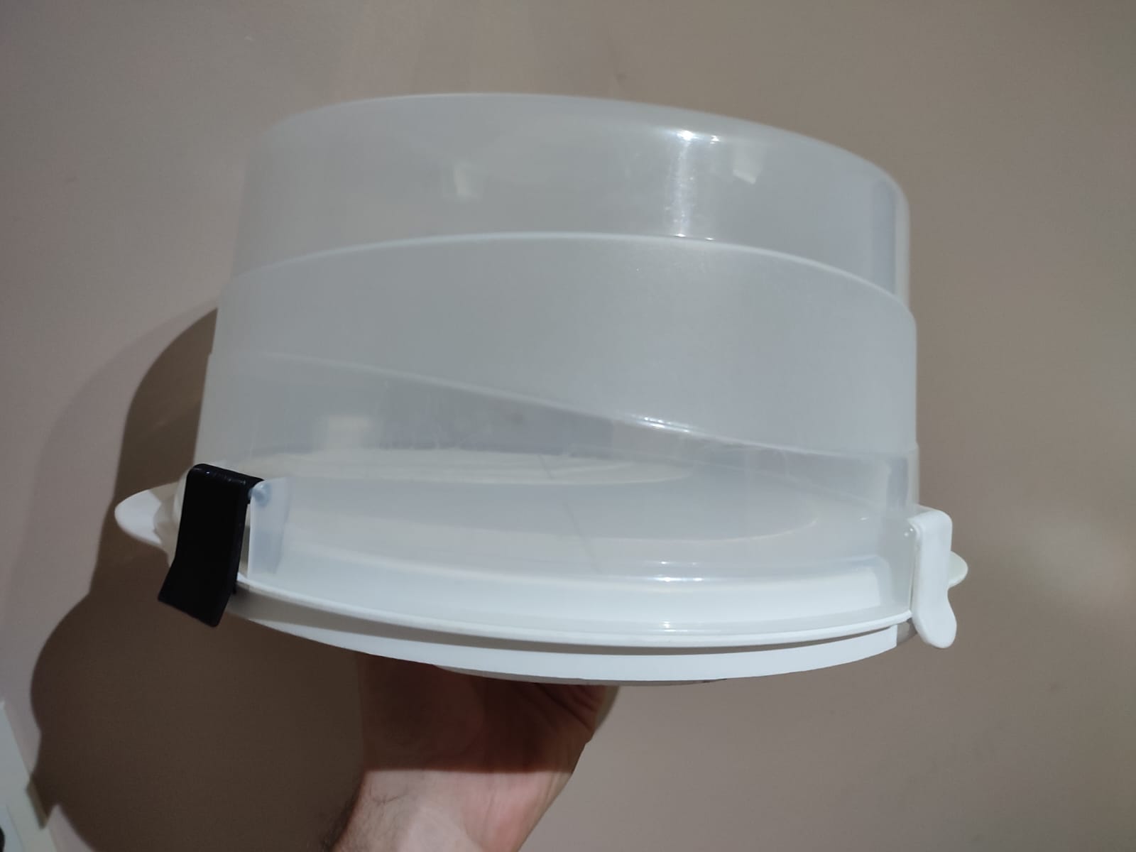 Reparation cake transport container (colombraro)