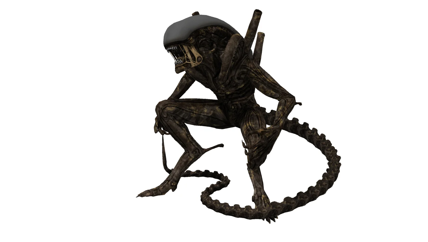 Xenomorph - Alien Warrior Drone