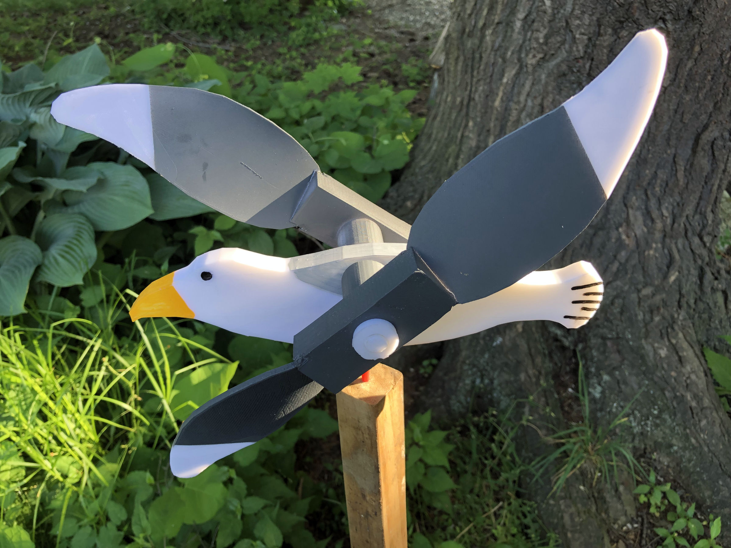 Seagull spinner