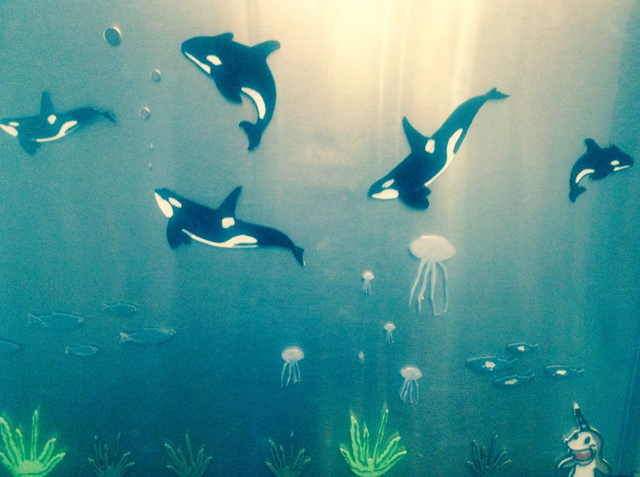 Reefer reef