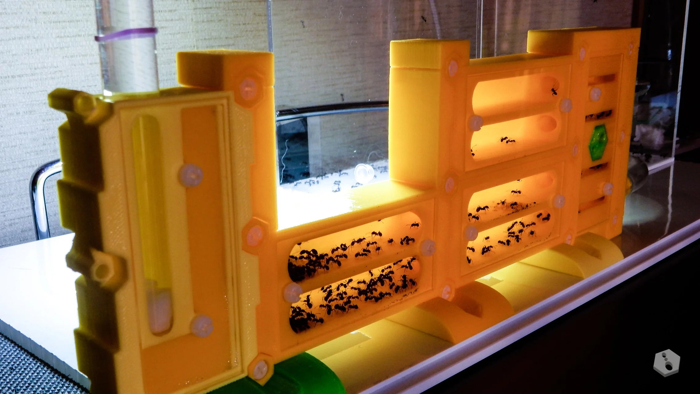 formicarium BetterForm [BF3] (modular kit)