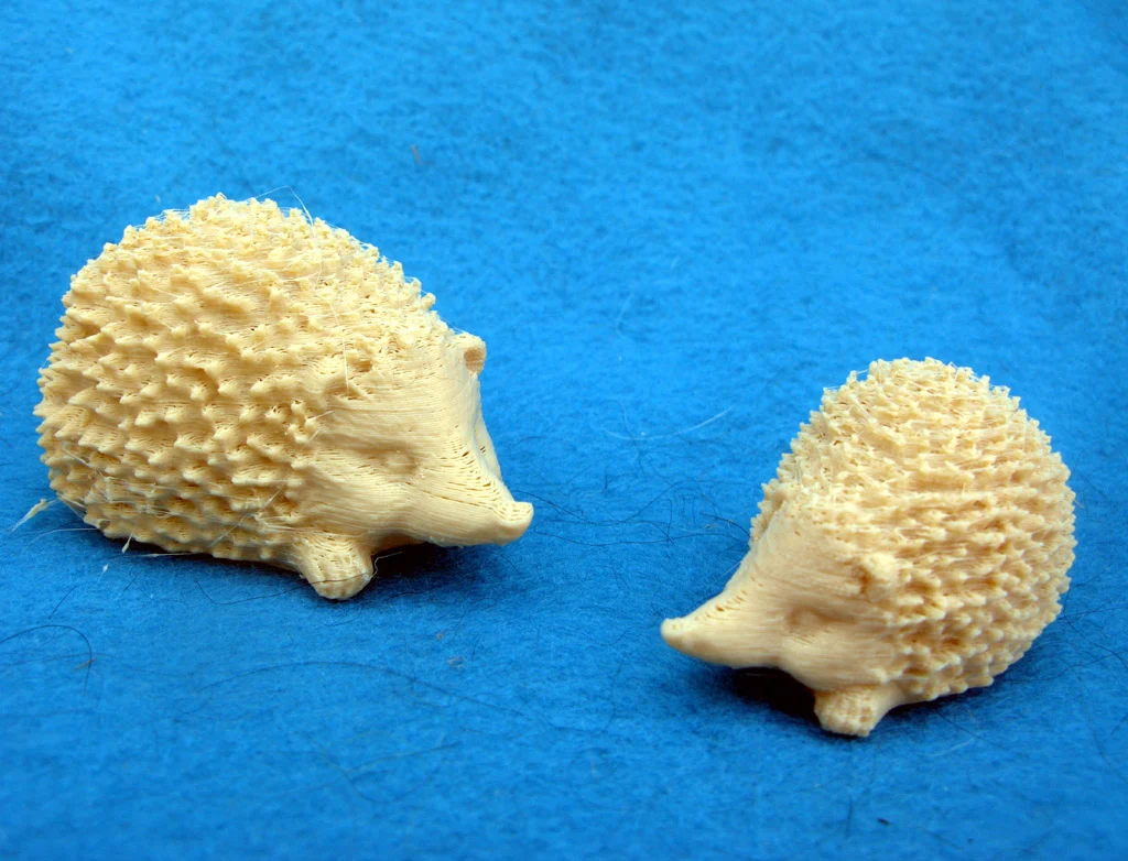 Little Hedgehog