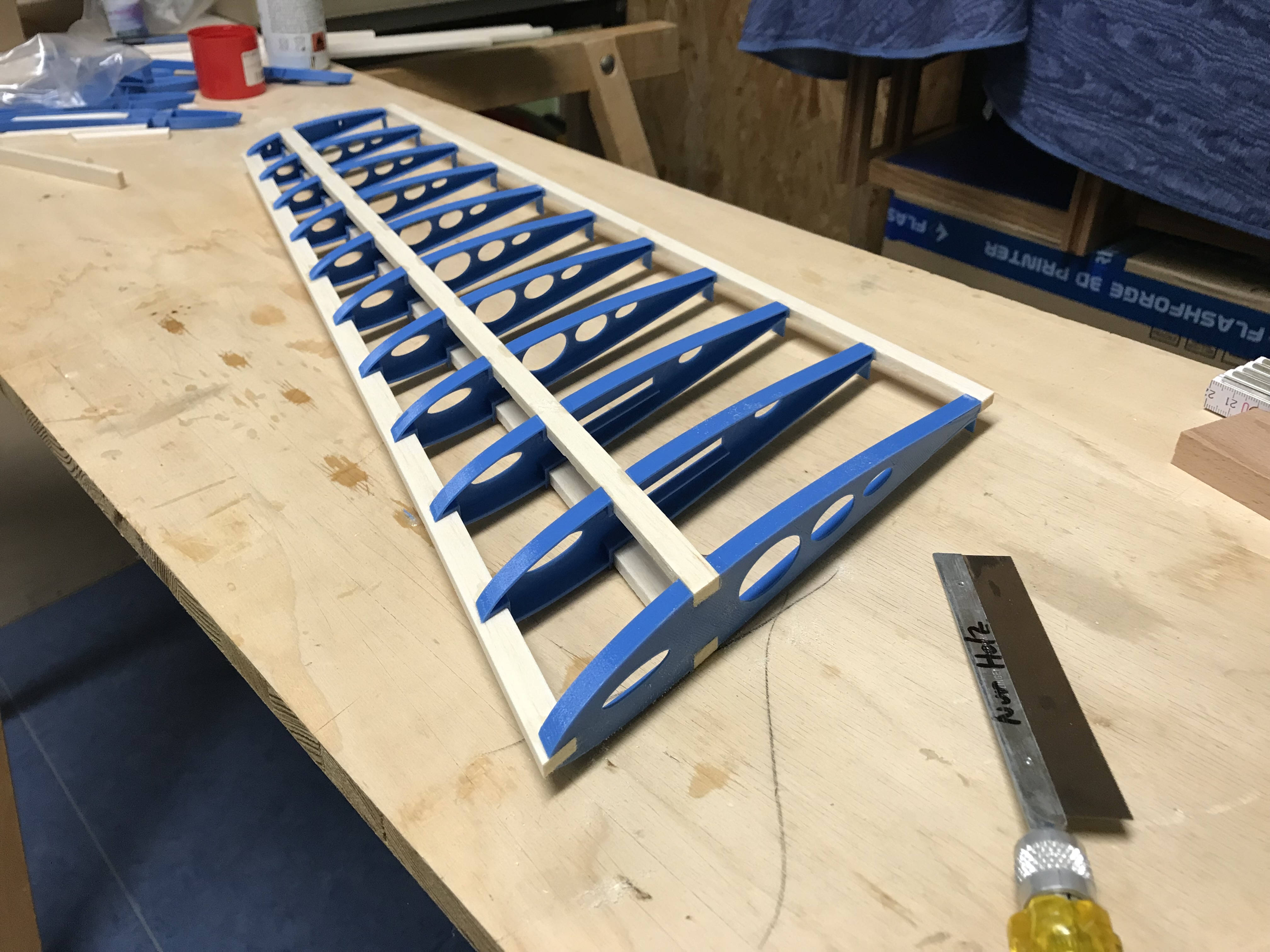 PLASTIKANT -  a simple flying RC wing