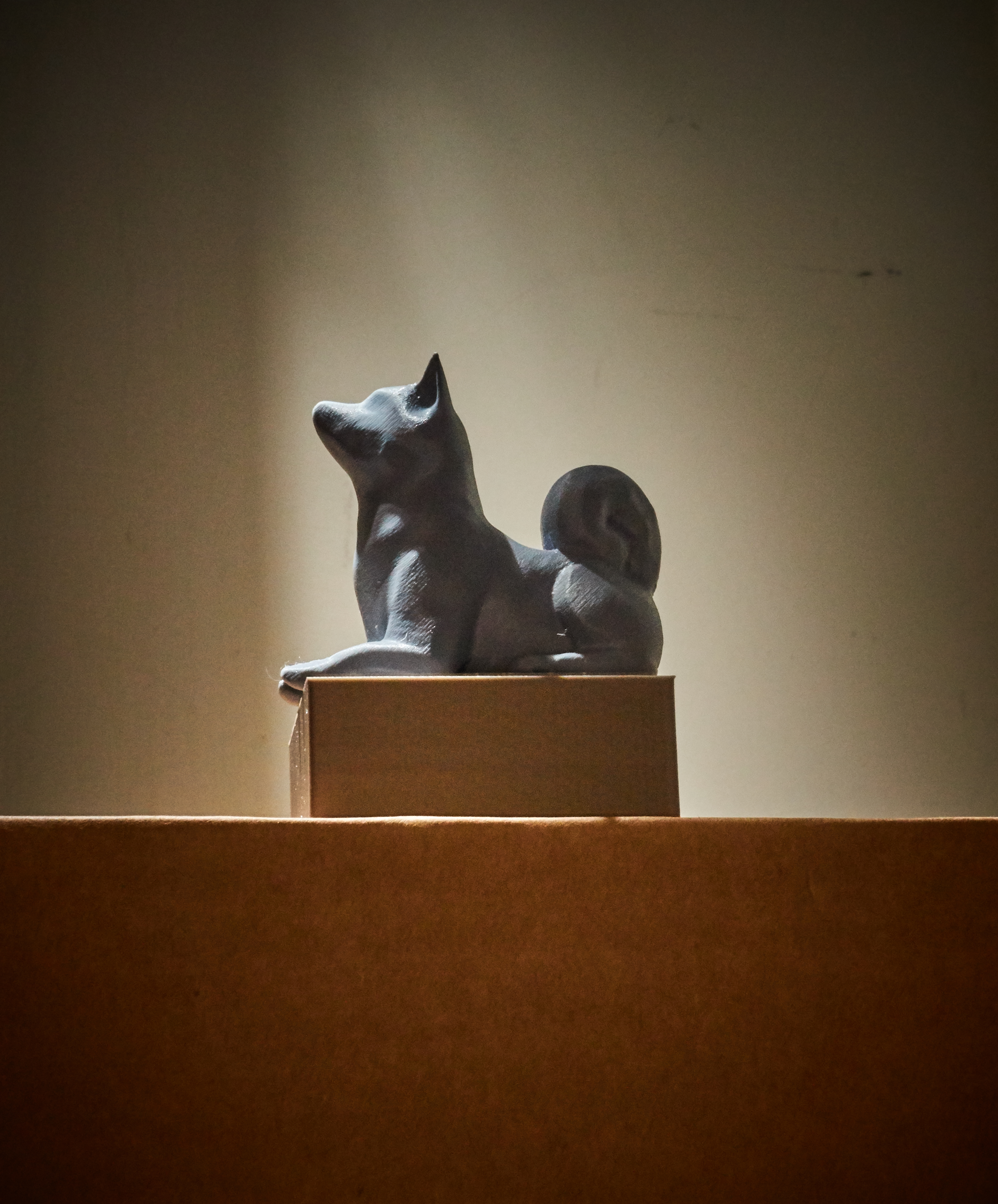 Shiba Inu