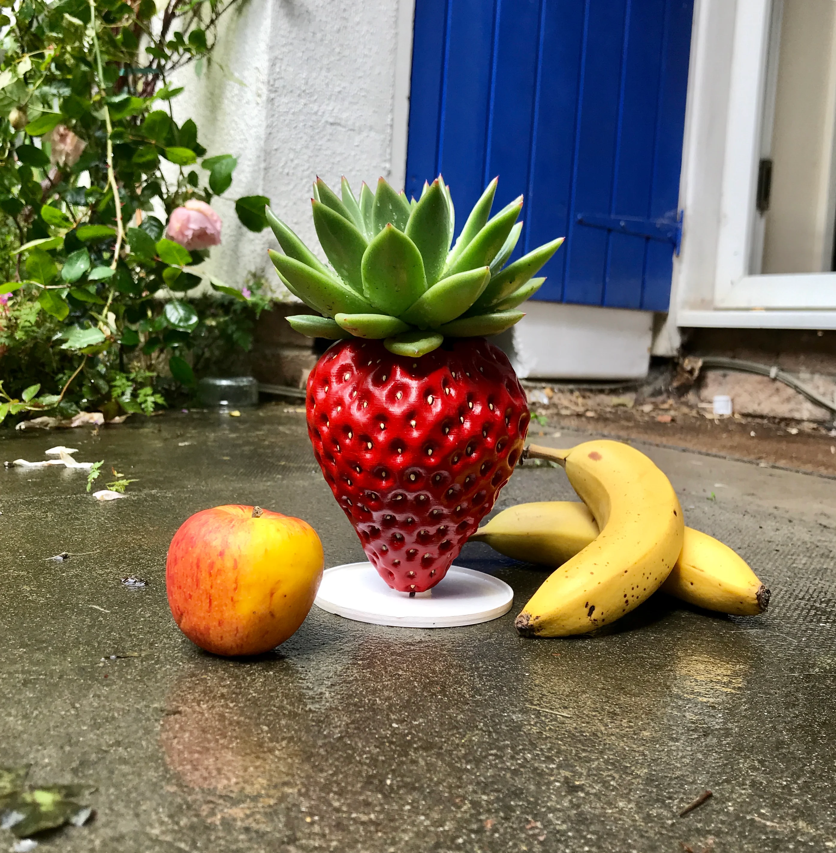 Realistic strawberry planter plant pot