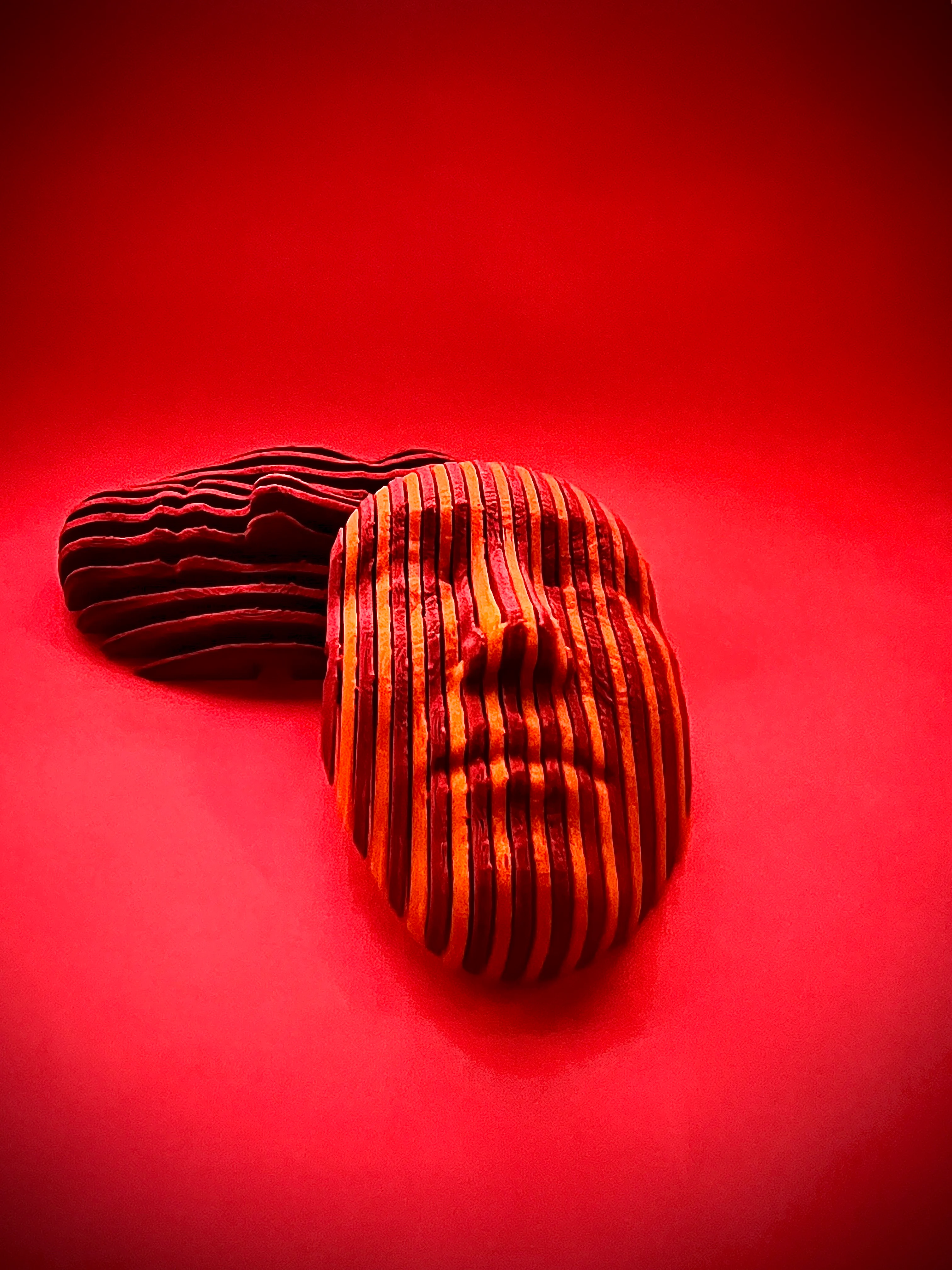 quantum skull / quantum face