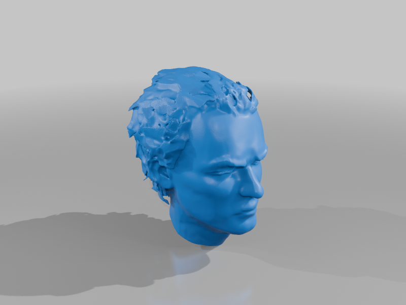 bret head meshy