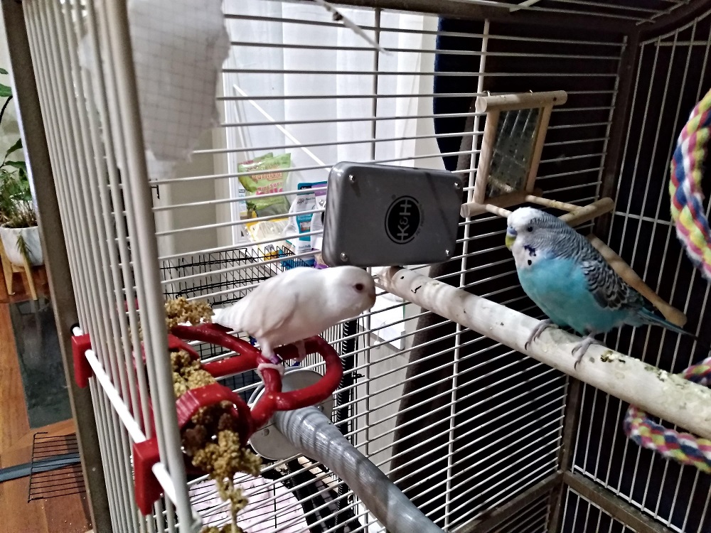 Millet holder for bird cage