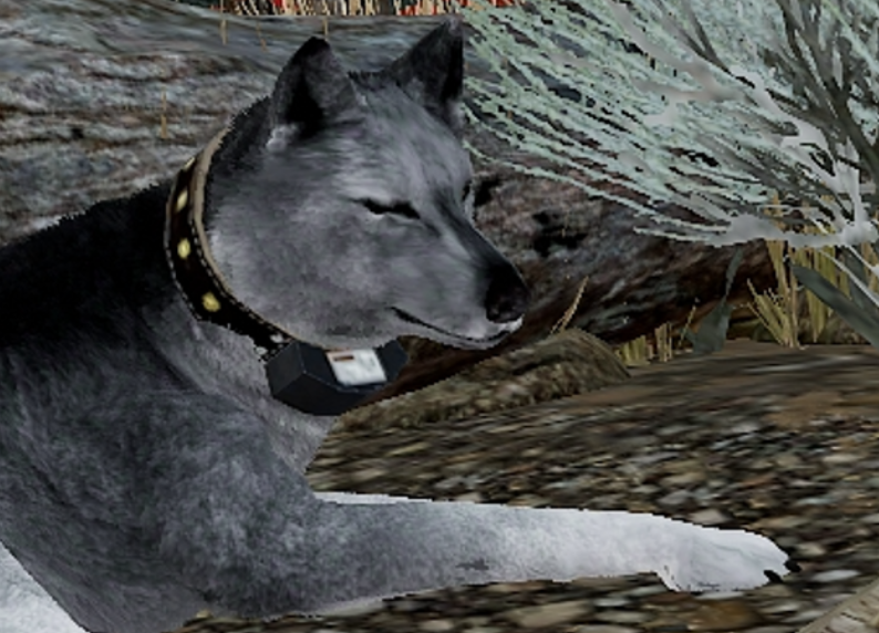 WolfQuest AE Radio Collar