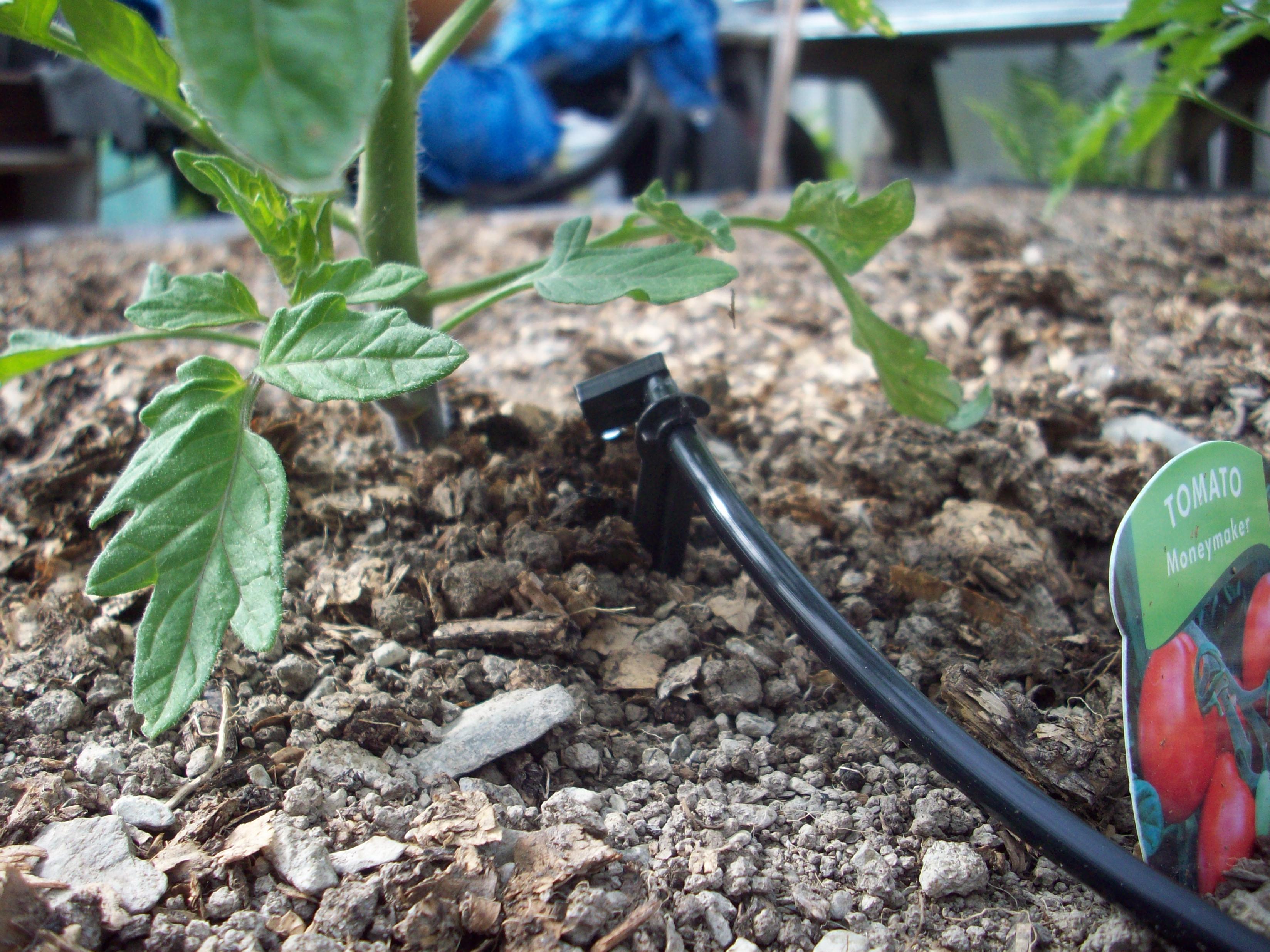 Irrigation Dripper/Emitter