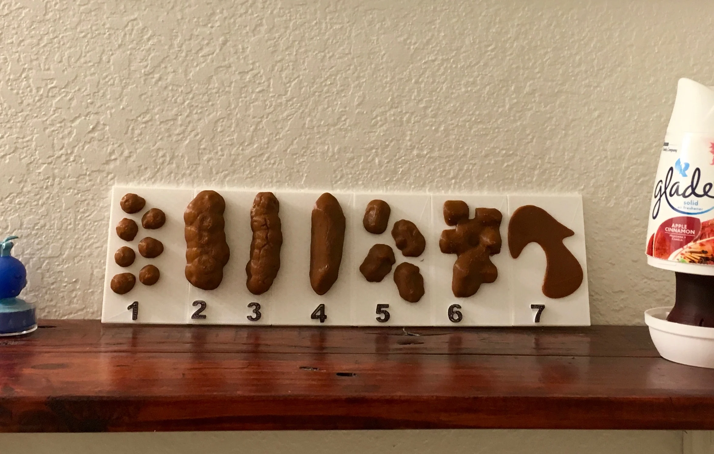Bristol Stool Chart, Inspired by Dr. Oz