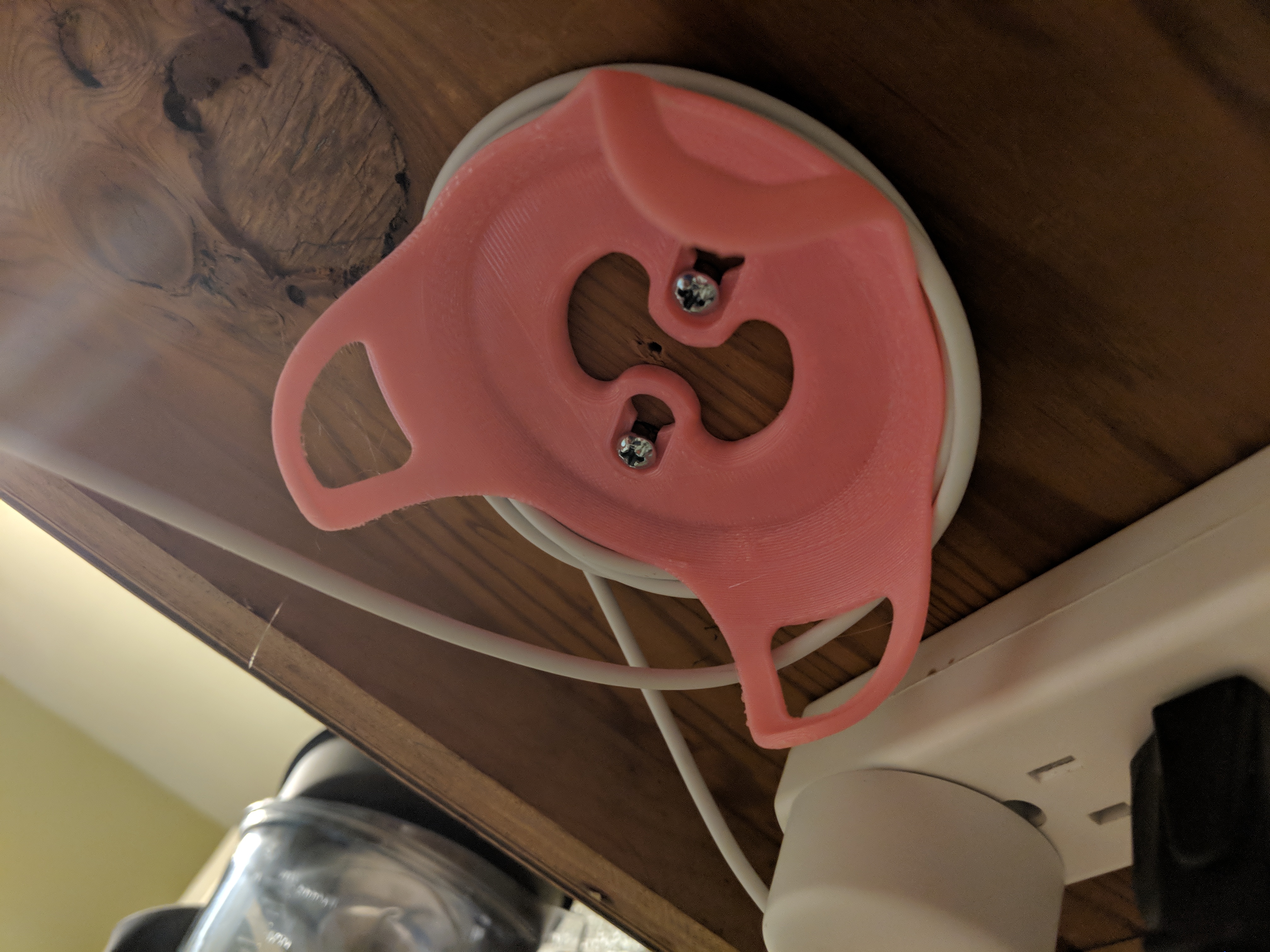 Google Home Mini Cealing Mount