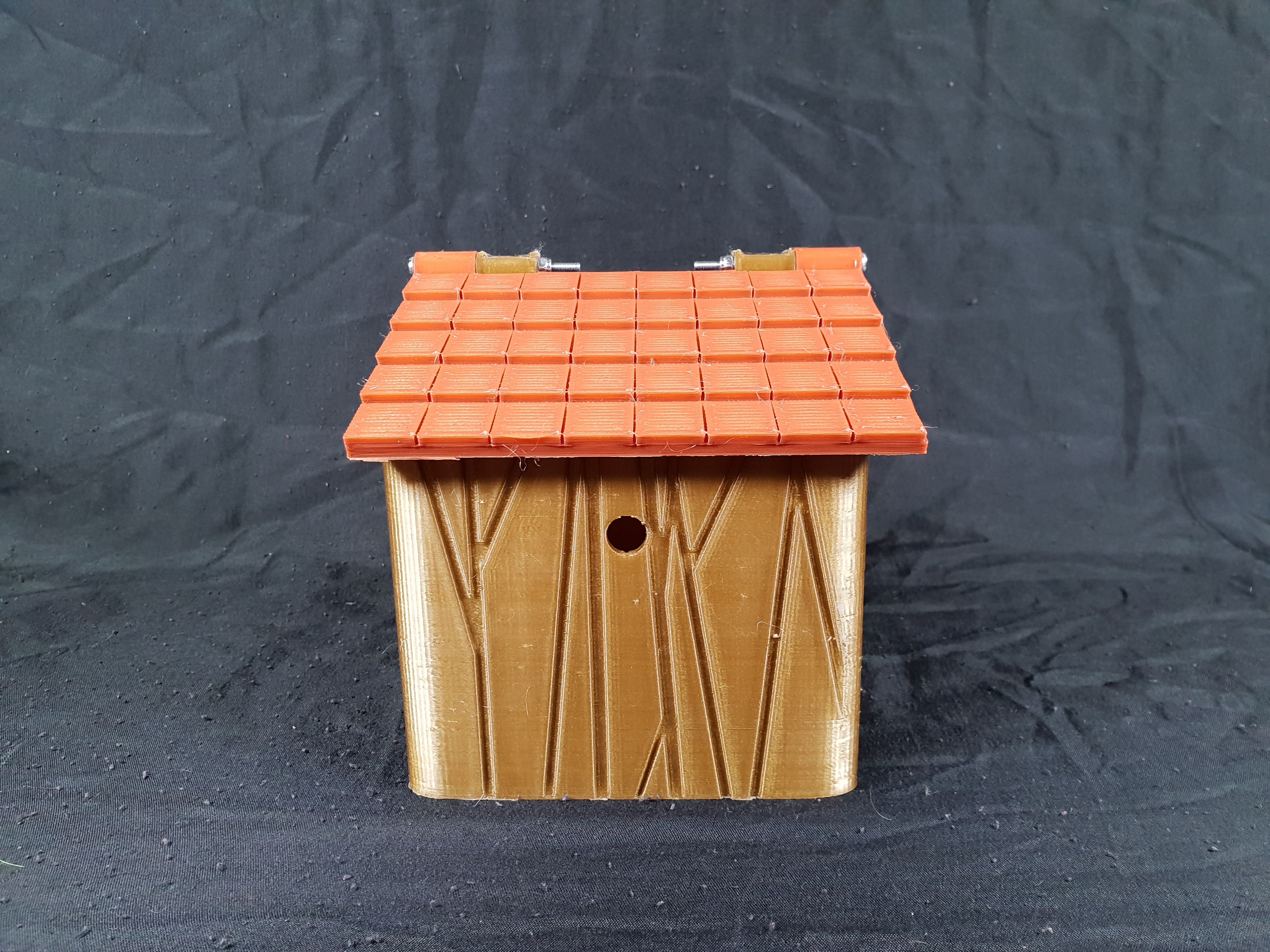 Birdhouse Camera Box