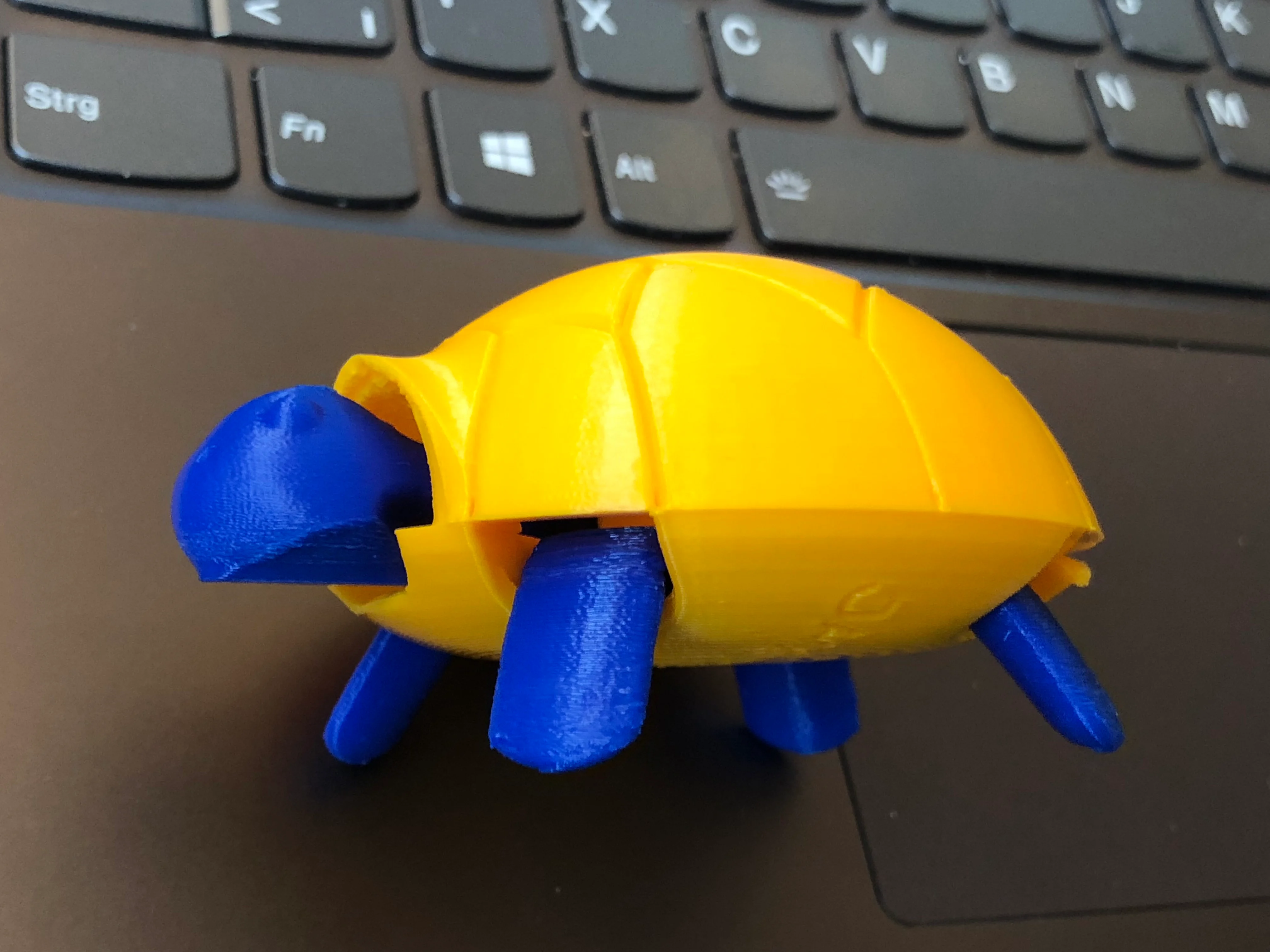 Squishy Turtle Remix (2-color-bottom single print)