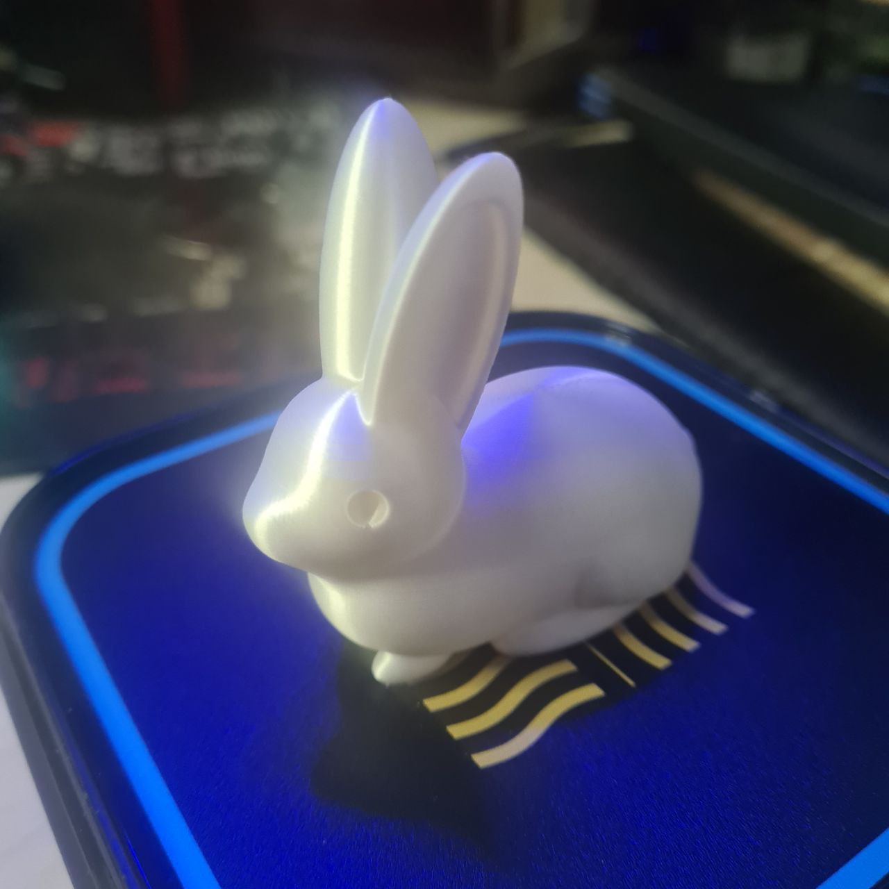 Rabbit