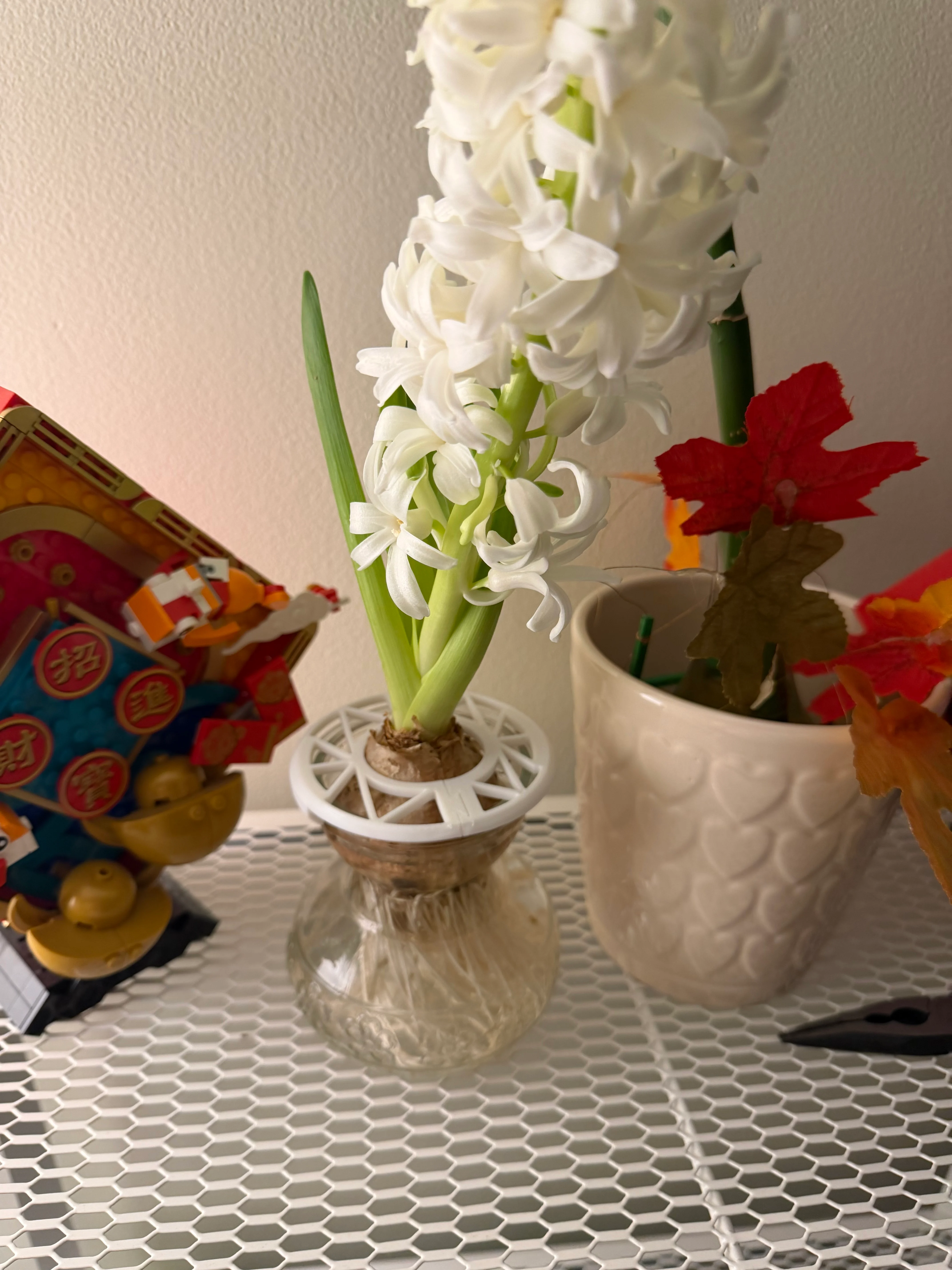 hyacinth bulb holder